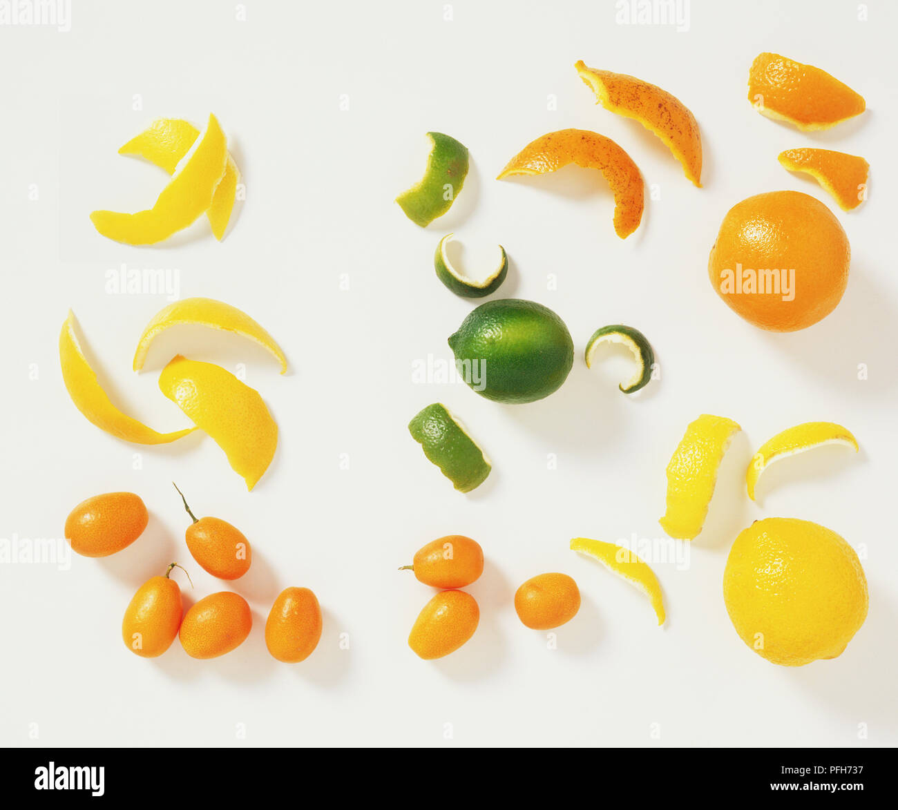 Agrumi e buccia, compresi Citrus aurantium, Citrus aurantiifolia, Citrus limon, Citrus x paradisi, Fortunella japonica Foto Stock