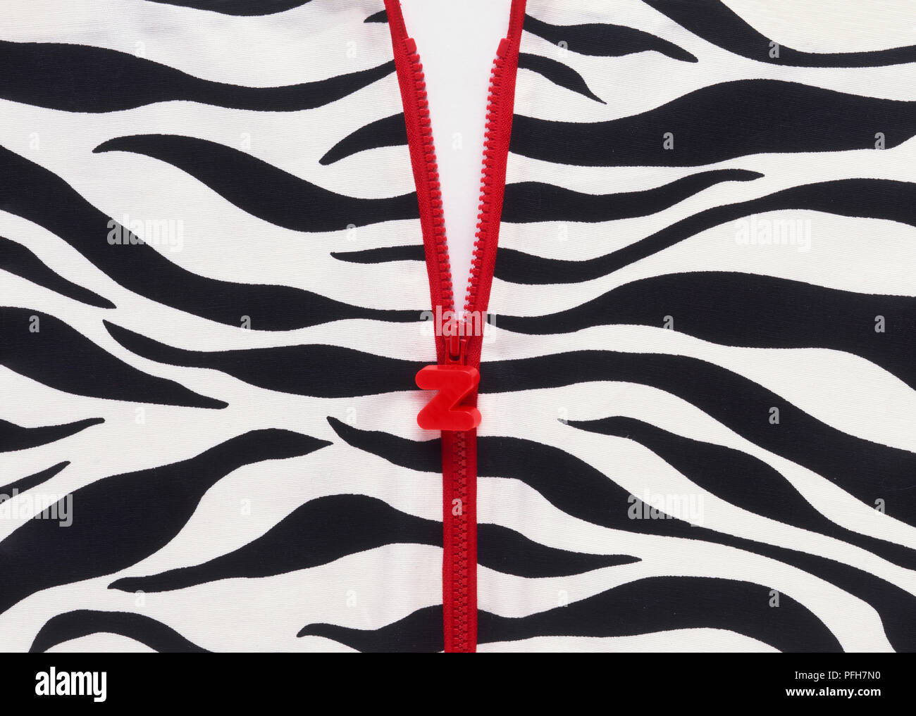 Dispositivo di trazione per cerniera lampo nella forma di 'Z' e zebra pattern tessuto Foto Stock