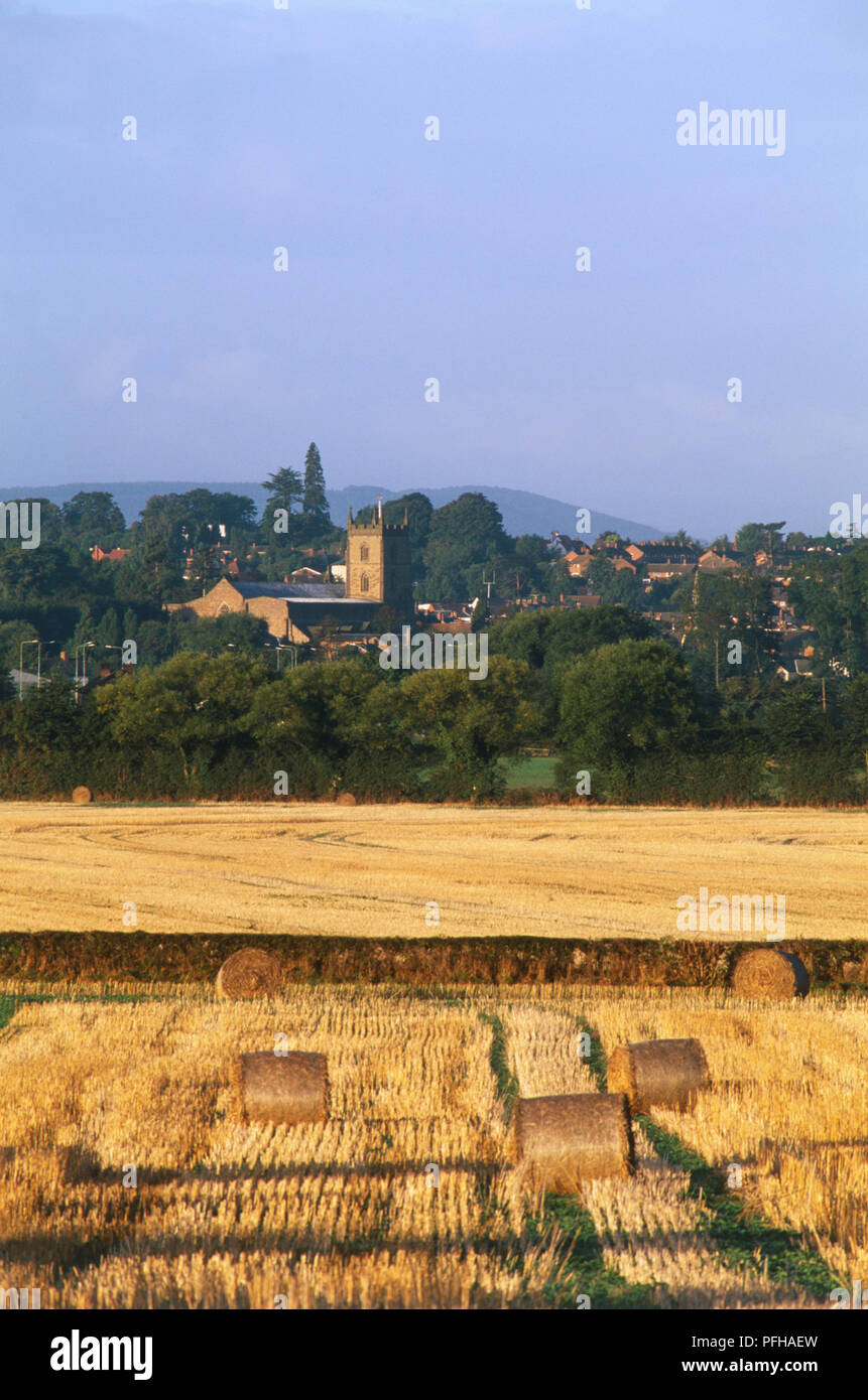 Gran Bretagna, Inghilterra, Herefordshire, Leominster, campi con balle di fieno e la città con il campanile della chiesa situati nel mezzo di rotolamento paese di confine. Foto Stock