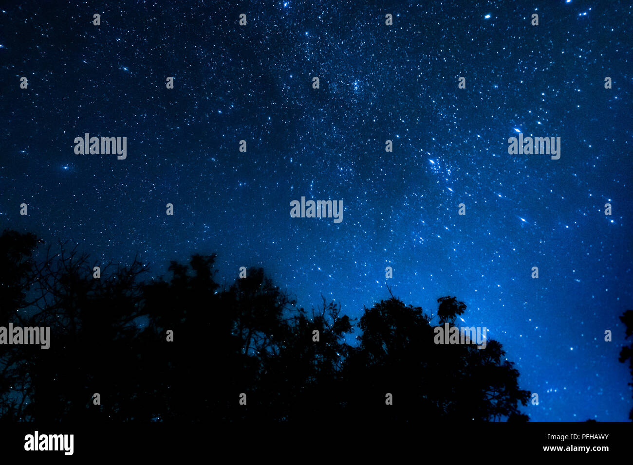 Notte Blu cielo in Scozia. Foto Stock