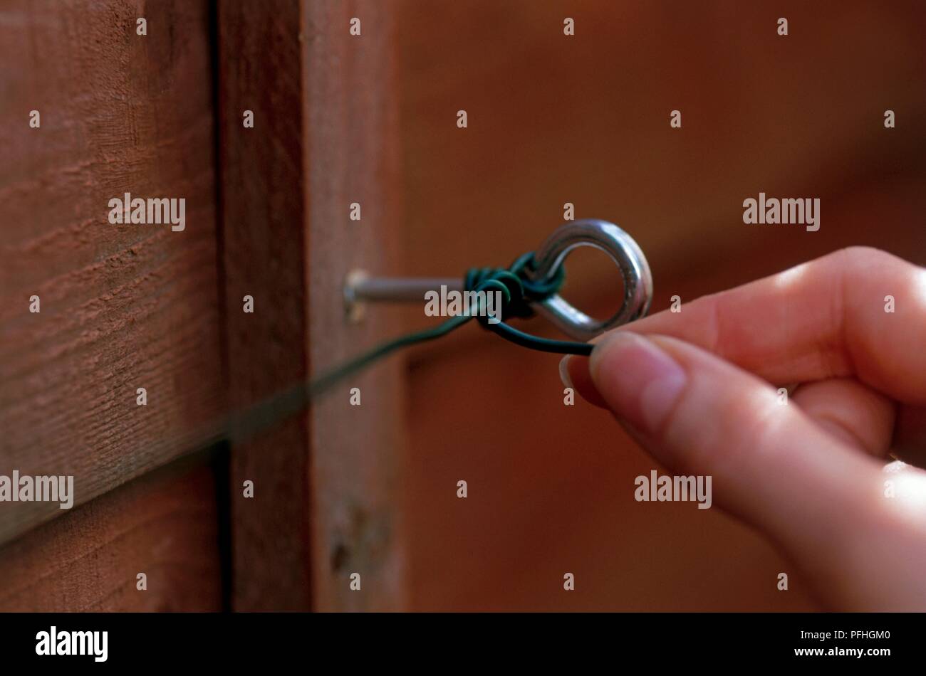 Avvitando a mano bullone a occhiello con filo attaccato in staccionata in legno, close-up Foto Stock