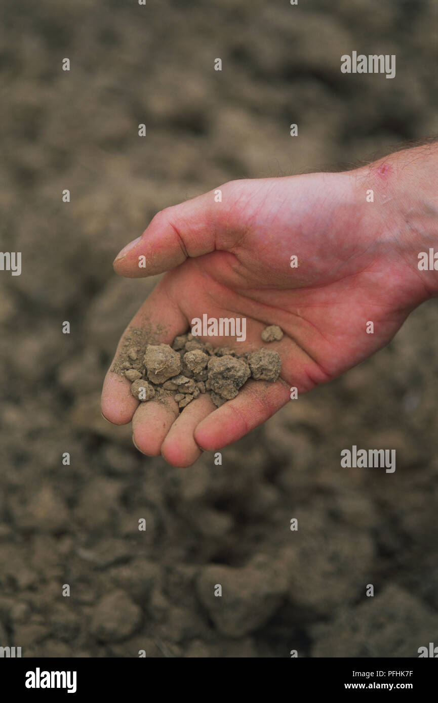 Pezzi di terreno asciutto appoggiata nel palmo della mano sopra la superficie del terreno, vicino. Foto Stock
