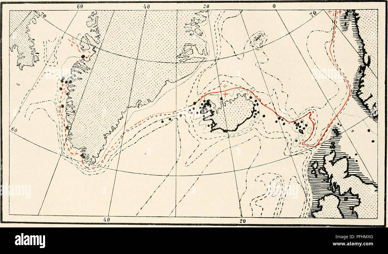 . Il danese Ingolf-Expedition. Spedizioni scientifiche; Oceano Artico. i8o HYDROIDA II la portata di talune zone orizzontali di distribuzione, e possiamo prima di tutto cercare di ottenere un'idea più chiara di ciò che è comunemente noto come la regione boreale, la definizione di che a volte sembra essere alquanto vaga. Nel caso dell'hydroids, i dati sul record di fornire validi spunti, come si vedrà nel seguito. Teoricamente parlando, il limite settentrionale della regione boreale dovrebbe essere disegnato come il legato- ary dove specie meridionale del generale ricorrenza in acque settentrionali cessano le loro né Foto Stock