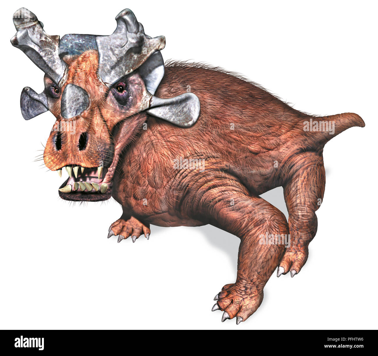 Estemmenosuchus, dinosaur vista frontale. Foto Stock