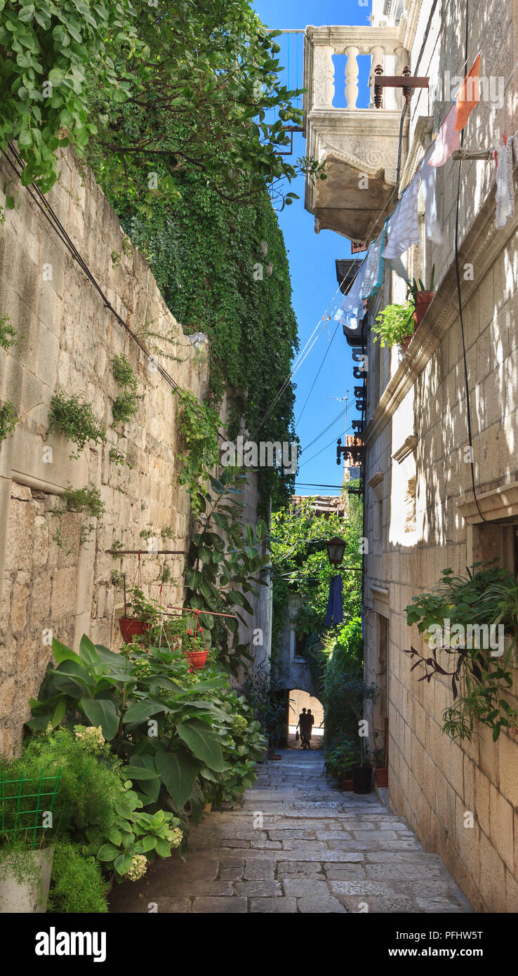 Street nella città vecchia di Korcula, Isola di Korcula in Croazia - verde liane sulle pareti Foto Stock