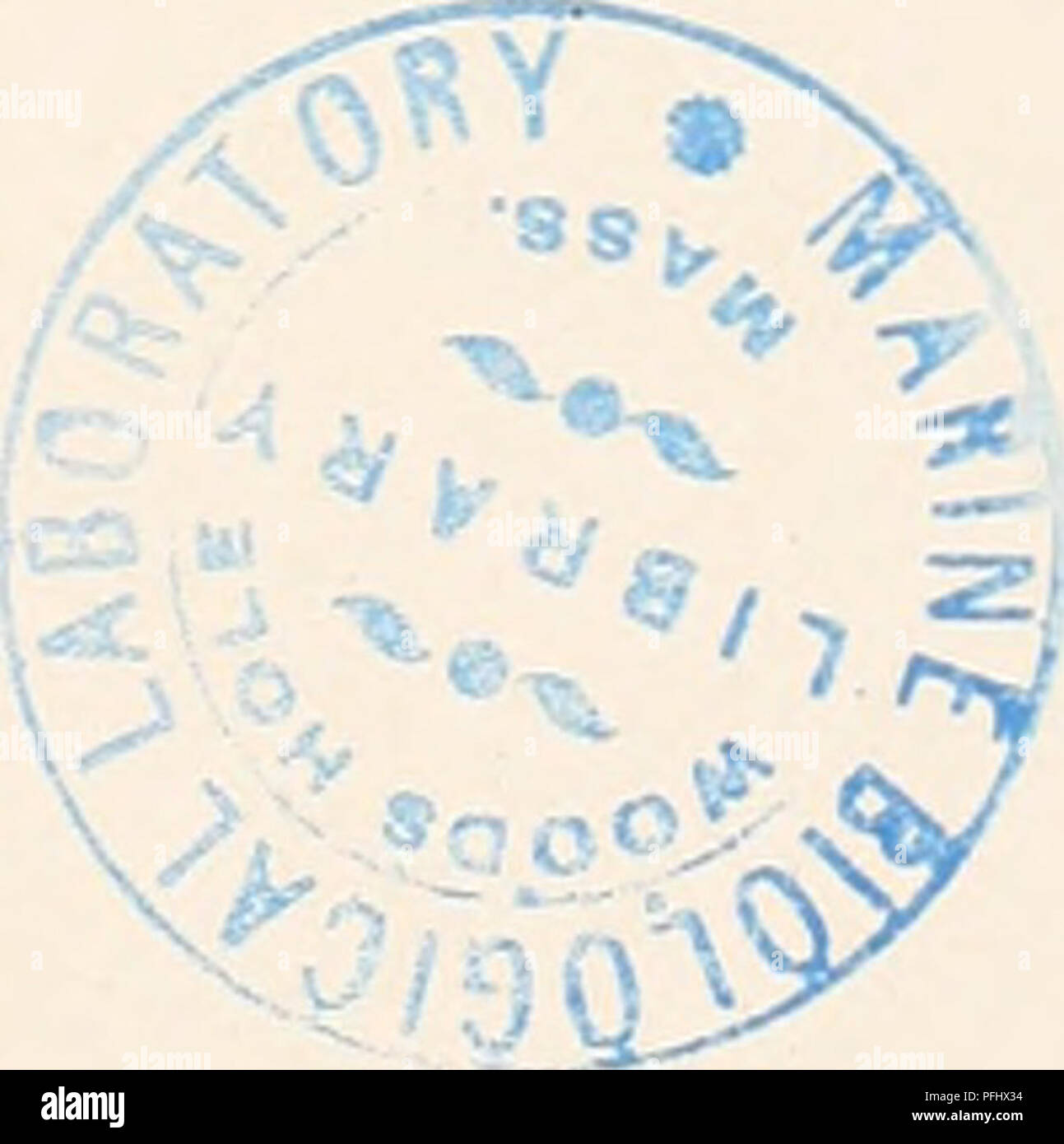 . Il danese Ingolf-Expedition. Spedizioni scientifiche; Oceano Artico. MEDUSA. L 45 7) - Axarfjord. 12 agosto 1903. "Beskytteren", Gemzoe. - I FACSIMILE, strappata, probabilmente di circa 6 cm di larghezza. 8) - Lat. 66°i4' N, Lungo. I7°28'W.. Skjalfandifjord. 21 luglio 1904. "Thor" stat. 208^04). - Pezzi di diversi esemplari. 9) - Lat. 66° 15' N, Lungo. 23°30'W., off Isafjord. Giugno ho5tb 1903. "Thor" stat. 134 (03). - Un esemplare nella collezione del laboratorio di plancton, Copenaghen. 10) - Dyrefjord. Il 14 luglio 1892. Lundbeck. - I Facsimile di 7 cm di larghezza. 11) - Lat. 64°o6' N., lungo. 23° Foto Stock