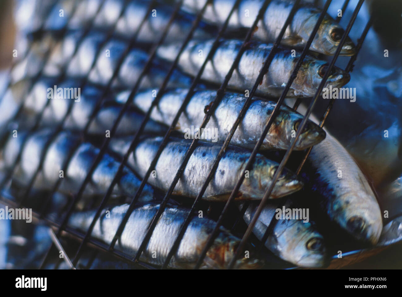 Capi di materie sardine intere filettato in barbecue grill in una fila, vicino. Foto Stock
