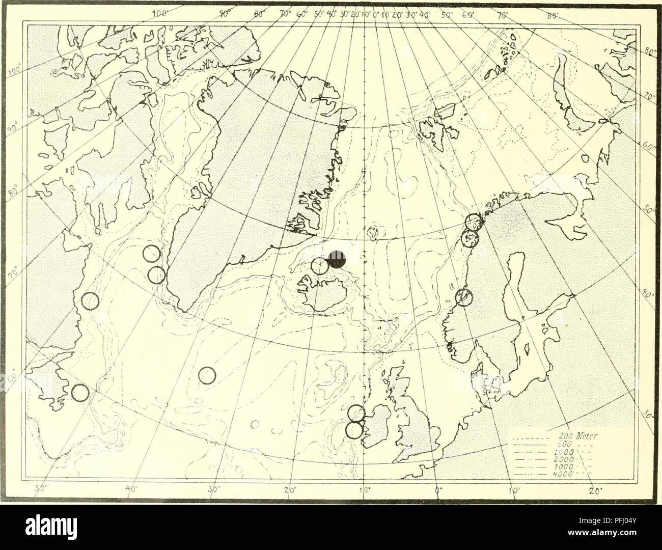 . Il danese Ingolf-spedizione. Animali marini -- regioni artiche; spedizioni scientifiche; regioni artiche. 14 BRACHIOPODA irgin. - "Michael Sars" San 85; 62°53'N. 9°06' O.;390Ra; I spec. "Ingolf" San 81; 61 44' N 27 0O'W.;913m; 2 spec, fissato ad un tectibranch gasteropode e coperto con mIi. i "Michael Sars" San79a;6R08' N.9°46'W.;850m; 1 spei - "Michael Sars" Suor 76: 59°29' N 7°51' O.; 1290 m; 55 spec- Michael Sars" San 76 b;59°23'N. 7 10'W.; 1290 m; 25 spec. Molti degli esemplari, in particolare quelli provenienti da due ultimi, località limitrofe, Foto Stock