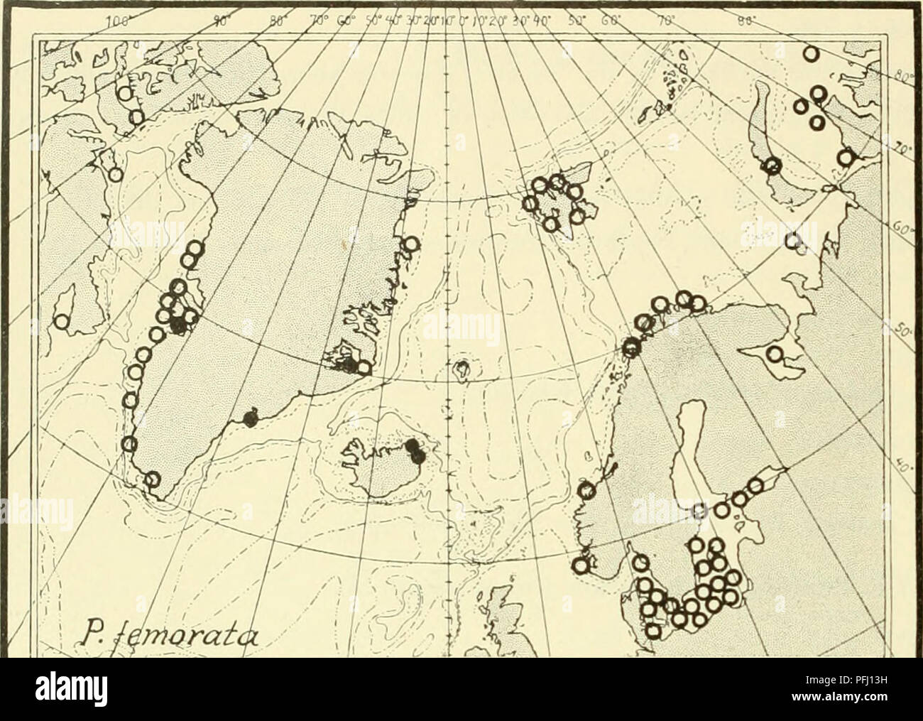 . Il danese Ingolf-spedizione. Animali marini -- regioni artiche; spedizioni scientifiche; regioni artiche. 158 CRUSTACEA MALACOSTRACA. VI. (Shoemaker 1920, p. 10). Il limite meridionale in Atlantico è come segue: New England, S. Groenlandia, N.E. L'Islanda e la Finmark (con due singoli si trova sulla costa occidentale della Norvegia). Ma è al di fuori di questa zona molto comune da bo- huslan attraverso il Da- nish acque e l'intero Mar Baltico alle isole Aland e Martellare a penna- trates il Golfo di Finlandia. Questa ricorrenza non è facilmente spiegato; vedere N. v. Hofsten, Glaciala och subarktiska relikter i den svenska Foto Stock