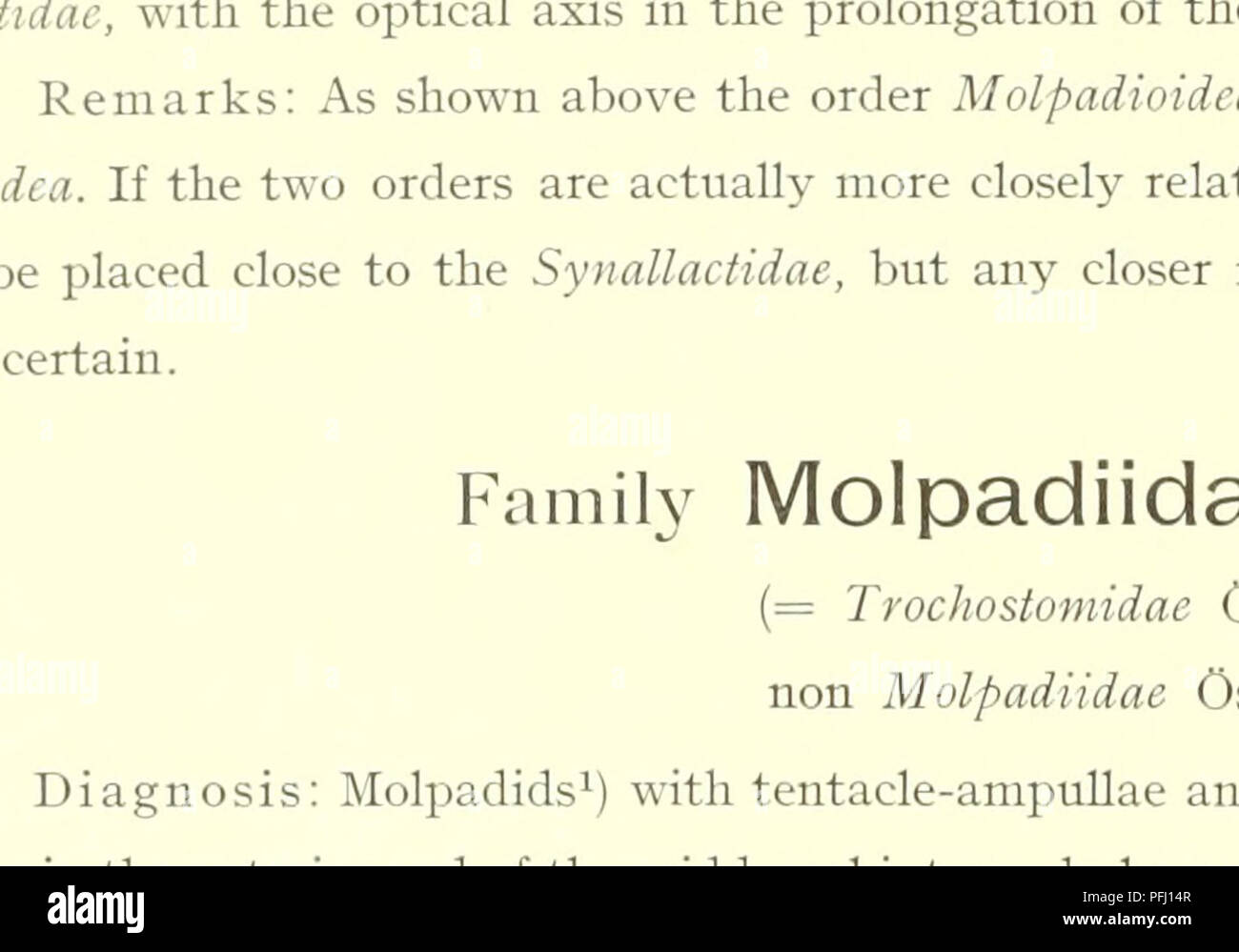 . Il danese Ingolf-spedizione. Animali marini -- regioni artiche; spedizioni scientifiche; regioni artiche. 98 COPEPODA 1903? Gaetanus aruiiger Giesbr. Norman, p. 137. 1904? - Major Wolf. Wolfenden, p. 114, pi. IX FIGURE 7-S. 1905. - - - Farran, p. 33. 1905. - Kruppi, Giesbr. G. O. Sars, p. 4. 1906. - Major Wolf. Pearson, p. 14. 1908. - - - Farran, pagg. 36-37. 1908? - - - V. Bremen, p. 40, fig. 45. 1908? 1908? 1908? 1909 9? 0 uec. 1911.' Gaetanus Kruppi Giesbr. v. Brema, p. 41, fig. 47. - Major Wolf. Wolfendeu, p. 31. - Kruppi, Giesbr. Wolfenden, p. 32. - - - A. Scott, pagg. 48-49, pi. IX figure 9-15. Foto Stock