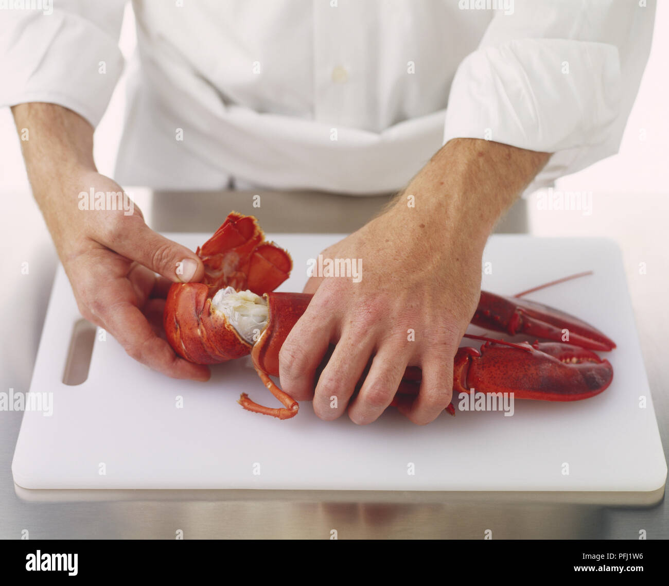 Tenendo la sezione di coda di aragosta cotta e tirando fuori della sezione di testa, vista laterale Foto Stock