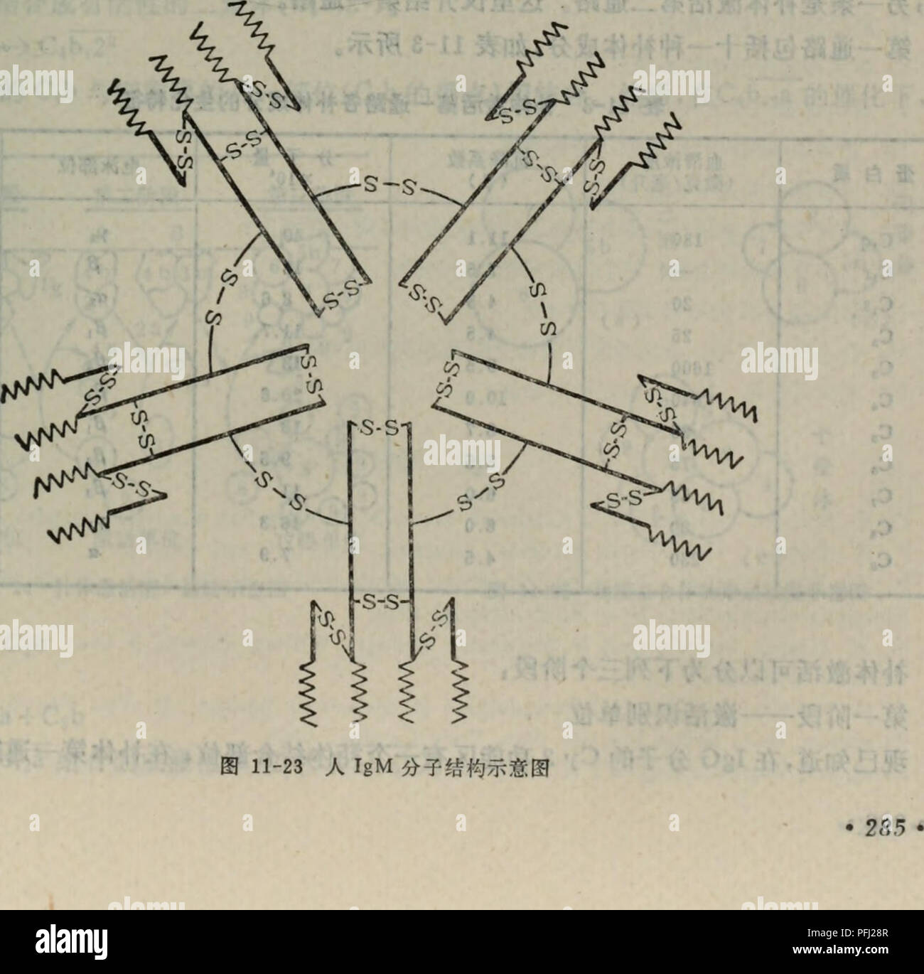 . Dan bai zhi fen zi ji chu. botanica. . Si prega di notare che queste immagini vengono estratte dalla pagina sottoposta a scansione di immagini che possono essere state migliorate digitalmente per la leggibilità - Colorazione e aspetto di queste illustrazioni potrebbero non perfettamente assomigliano al lavoro originale.. tao wei sun deng. ren min jiao yu chu ban she Foto Stock