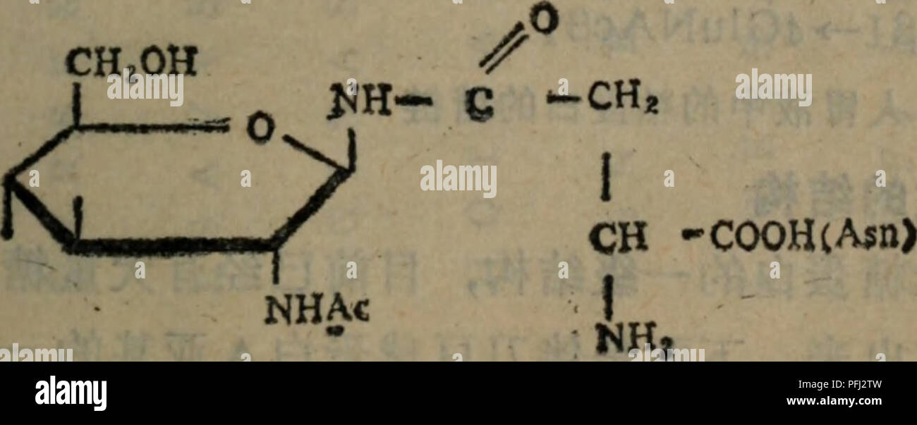 Questo studio botanico esamina la struttura e la funzione di vari composti presenti nelle piante, concentrandosi sugli zuccheri e sul loro ruolo nei processi biologici. Discute l'importanza degli zuccheri come il glucosio e il mannosio, il loro ruolo nel metabolismo delle piante e le loro caratteristiche strutturali, come le catene dello zucchero e le interazioni molecolari. Foto Stock