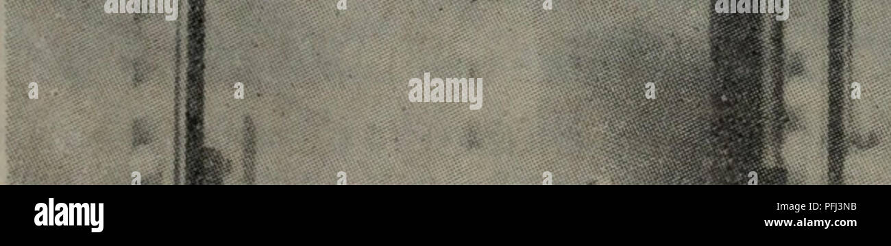 . Dan bai zhi de ning jiao dian yong Shi Jian fang fa. botanica. Å¾11 å¯å·å'çåç'ae¿è¶çµae³³ä"ªãaeå±ç¤ºçåå·ç³"ç±Bio-Rad Laboratories Ltdçäº§çProtean Cellå (ç±Hoefer Scientific Instrumentså¶é ï¼ãå¯ä"¥ååçµae³³ä'¤åae¿è¶ãae¯åae¿è¶ae¯ã¨ä'¤ååaeªå¼ae§½çç"ç ae¿ï¼16,0 cmXl8.0cmX0.3cm)ä¹é'å½¢ae,ç"çae¿ä¹é"ç¨å0,075, 0,15 0.3ae0.6 cmçèä¹ç¦ç¢³é 'é (PVC)ä½å"ççå¼,å¡¾çae¾ç½®å¨ä'¤åç"çae¿ä¹é'åç'ae¹åçä'¤è¾¹,å¹¶ç¨å¡aeå¤¹å¤¹ä½ãå¤¹å±åºé¨ç¨åå¨ç¥·å½¢ ae¶ç¡ è±"è¶å¡¾çåºé¨çèç¢³é 'éå'è½®å¯å°,å¦ä'å¾å·¦ä¾§aeç¤ºãåè¶ae³¨å ¥åä" Å¤¶èå,ae ·åae± çå½¢aeåå ae ·å¦ ae-£ aeaeè¿°ãä"ç¥·å½¢ae¶ä'åä'ae¿è¶Å¤¹å±ï¼ç¨ç'åçå'è½®ç³"ç"å °å ¶ç""ç'§åºå®å¨ä'è'®ae¶²ae§½å¦ä'aeae¨è¶å"çä'ãä'ã Foto Stock