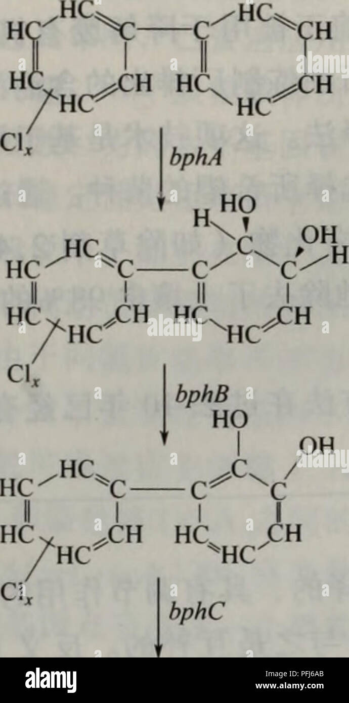 . La dai xie gong cheng. botanica. HC II HC XH câ I -c HCã C è³é¦ååç©çèç³"ae¯ç½è èPhanerochaete chrysosporiumç ae¨è'¨ç' çï¼å®è½å¤åè§£ èå'å¾å¹¿çå¼çç©ï¼çè³å ae¬åç§ç" aeï¼å¦è¯å¹¶È ä'è¯ç²ç¼aeaeç-ï¼Bumpus e Brock, 1988)ã 6.5.2è¯ãç²è¯åå¯¹äºç²è¯ae··åç©ï¼BTX) è¿ç"ae¥èªç³ae²¹çae±¡aeç©ae¯ae°'aeº¶ae§çï¼å ae-¤è½ae±¡aeae°' èµaeºï¼ ç"äººç±"çå¥åº·é aeä'¥éçå¨èãä'äºç ç©¶å·²éä'-å¨aeå"ºåºå å·¥ç¨èï¼å®è½å Å¤°è¿ç±"ae±¡aeç©åä'ªå°aeå ±åå°è½¬åä'ºae²¡ä"ä¹ ae¯ã®³çç©è'¨ï¼å¦ä'é ®é "ãä'é¢è®¨è®ºä'¤ä'ªè¿ae¹é¢çä¾å-ã TOL (pWWO)åè§£ ä"£ è°¢è'¨ç² åè§£ ä"£ è°¢è'¨ç²éå''å å"aeäºéè§£ éå¾aeéè¦çä'å¥å®ae' åºå ï¼ç¹å"ae¯ã¨ååèèPseji^iomomzs,å ¶ae Å¤ä'å¨ãå®ä"¬ ae¯ã¯èªä¼ éçï¼å¹¶ä'è®'å¤ Foto Stock