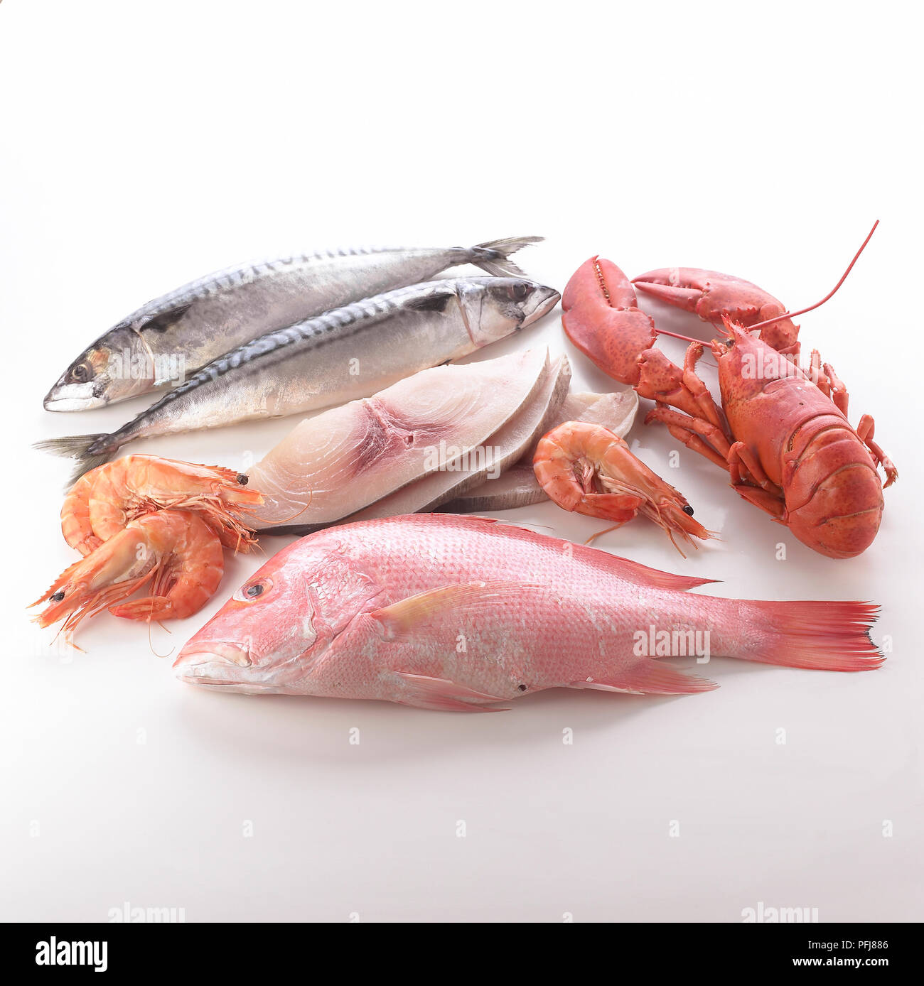 Una selezione di piatti a base di frutti di mare freschi, compresi sgombri, fette di mahi-mahi pesci, aragoste, gamberetti e red snapper Foto Stock
