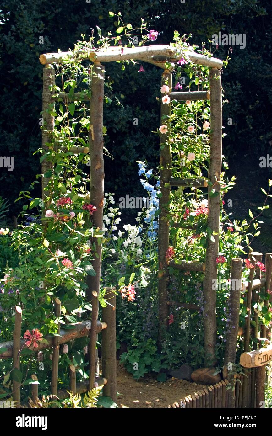 Clematis, rose e caprifoglio cresce su arco in legno Foto Stock
