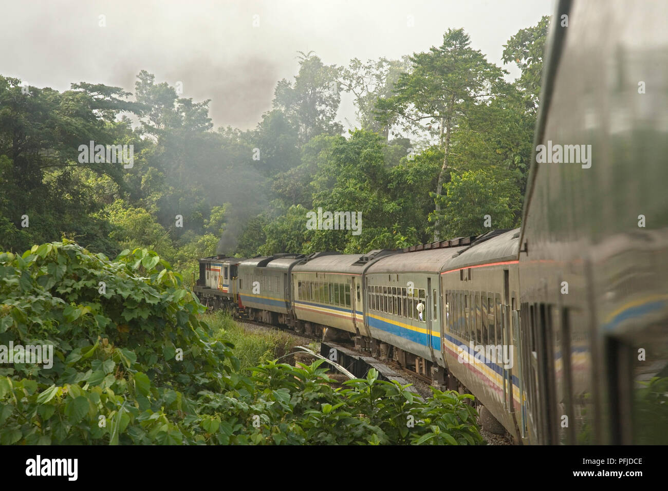 Malaysia, Kelantan, giungla, ferroviaria treno in viaggio attraverso la giungla Foto Stock