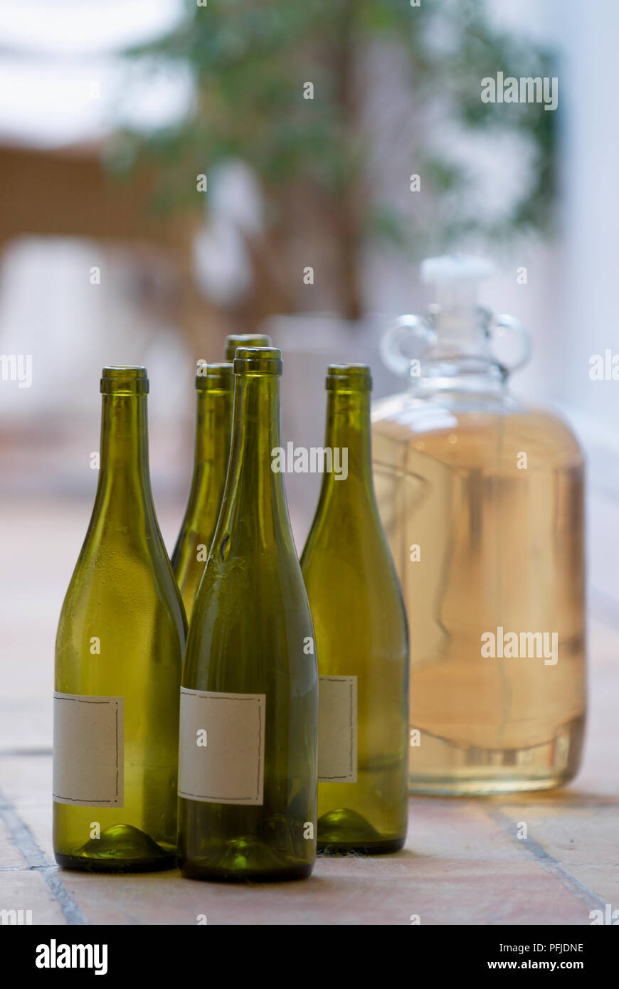 Cinque svuotare le bottiglie di vino e una piena giara di fermentazione Foto Stock