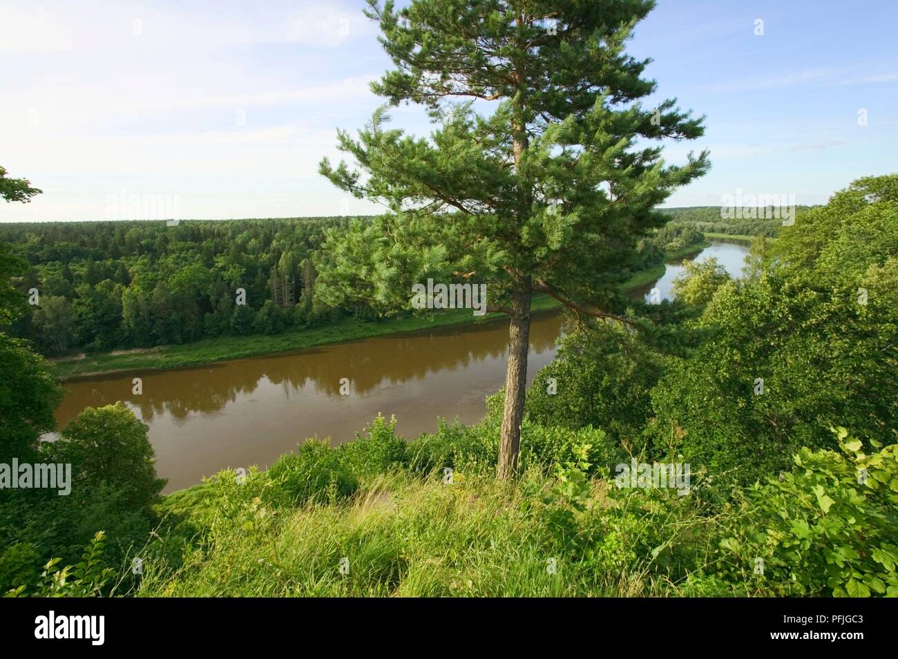 La lituania, vista del fiume Nemunas dalla collina fort a Punia, vicino Alytus Foto Stock