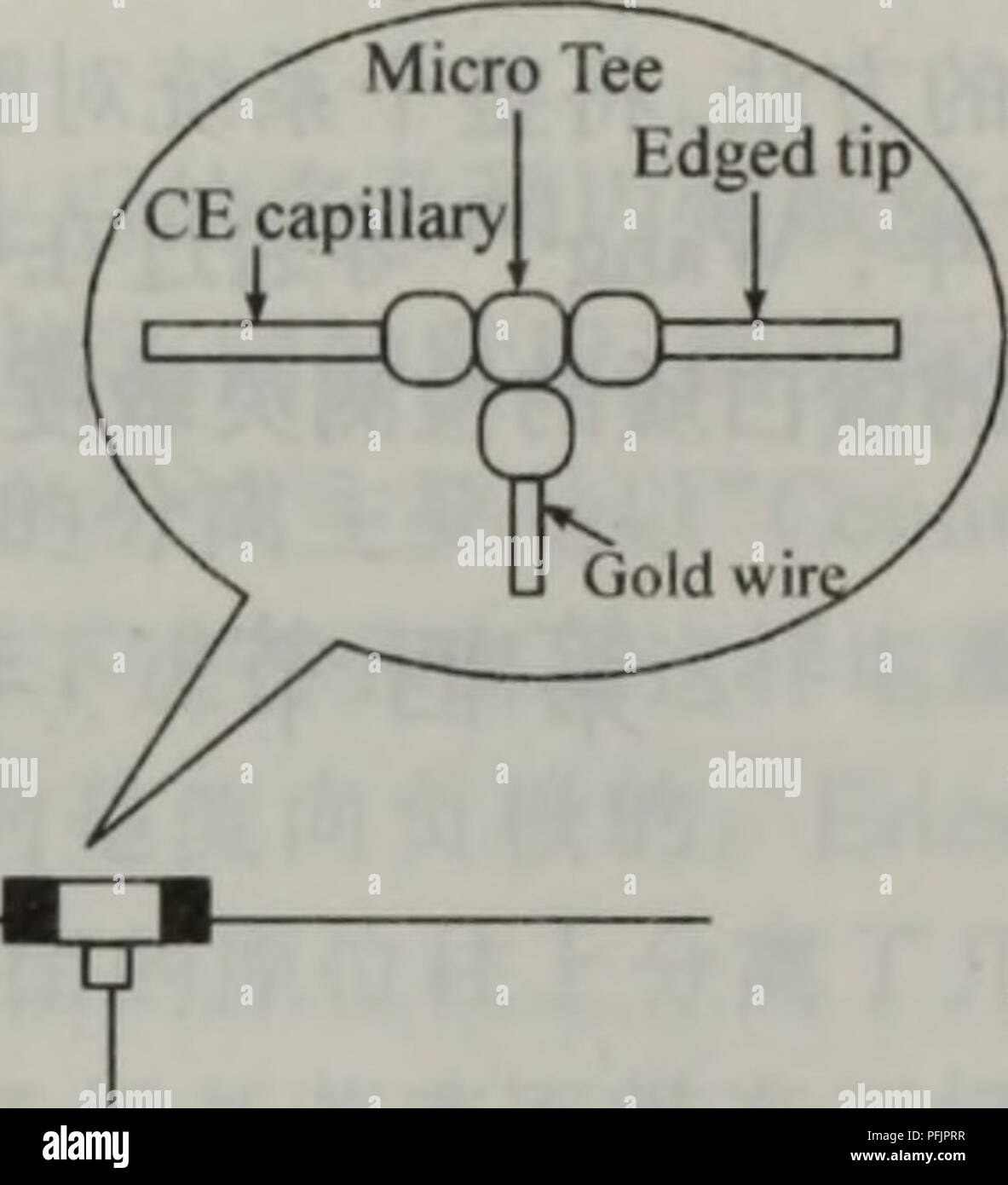 . Dan bai zhi hua xue yu dan bai zhi zu xue. botanica. 1.7KVforESI å¾20.10 2DHPLC-CE-MSç¨äºé µae¯ae 'ç³ä½èç½è'¨é-è§£ è½ae®µåaeçaeae¯è·¯çº¿ ae¯ç"ç®¡çµae³³è¯çaeae©ae¯ç±Hofmannç-[9l]äº 1999å¹'è®¾è®¡å¹¶å"ºç"çãä"ä"¬å¨ç"çae¿ä'ae é äº 200 ^tmå®½ã10 ^tmae·±ã7 cmé¿çå¤ééï¼å¯¹å·²ae ç-¾çå¤è½åèç½è'¨è¿è¡äºç-çµèç¦å ç¦"ï¼5minå å³°å®¹éè¾¾å°äº 30ã40ï¼çè®ºå¡ae¿é"åº¦ä'º0.4^tmãå¨ae-¤ä"¥åï¼ä'äºç ç©¶å° ç"[9294]éè¿ç¹ae®çae-"ä½ç§¯å¾å°çè¿ae¥è£ ç½®å®ç°äºae¯ç"ç®¡çµae³³è¯çåçµå·é¾è'¨è°±çè ç¨ï¼ç¤ºaeå¾è§å¾20.11Gottschlich[95]-ç å °èç½è'¨çå¨çº¿é ¶è§£ ãåç¦"ãae±åè¡çç-aeae¯å¼äºº äºae¯ç"ç®¡çµae³³è¯çï¼å¨ae"è®¡15 minçåaeae¶é'å ï¼ä"¥Iminä'ºåç¦"ae¶é'ï¼å®aeäºå¯¹è°èç½ ééè§ Foto Stock