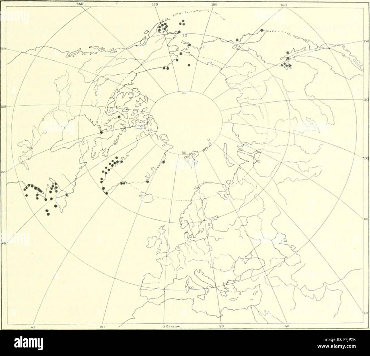 . Il danese Ingolf-spedizione. Animali marini -- regioni artiche; spedizioni scientifiche; regioni artiche. Ascidiacei 145 grenze-90M (VerrilliS?©, 1872 a, Verri]l&amp;Rathbuni879).- Grand Manaa, 3,5-25 m und tiefer(Stimpson 1852,1854).- Mount Desert Island (Anonym ig2i).- CascoBay, 14-54 m (1874,1874 Verrill a). - Cape Ann: ca. 4 Meil. vor punto orientale (Baird 1882). - Massachtisetts Bay: Nantasket Bay, nahe scafo (bei Boston) (Couthouy 1838); Chelsea Bay (bei Boston); punto Shirley (bei Boston) (Agassiz 1850).- Cap Cod, 83 m (Baird 1882); Granchio battuta, 6. Cap Cod, 29-45 m (Ritter 1913 a); vor Cap Foto Stock