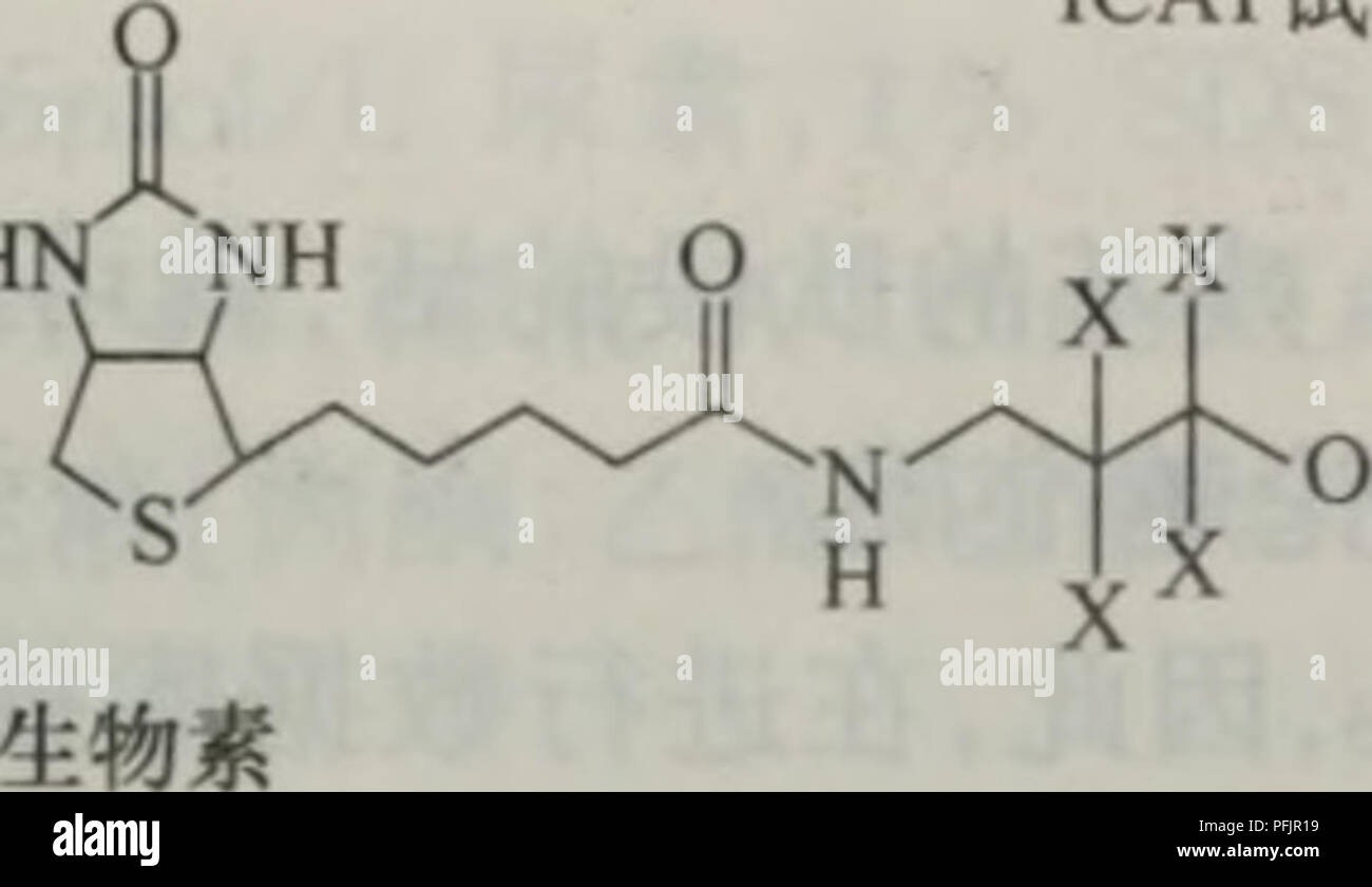. Dan bai zhi hua xue yu dan bai zhi zu xue. botanica. Aeå¦å¾17.3aeç¤º&LT; HN NH ICATè¯å:. Éè¯åï¼d8-ICAT(X=Dï¼ae°è½ ï¼"è¯åï¼dO-ICAT(X=Dï¼ae°ï¼ ae¥å¤' çåºååºåºå¢ å¾17.3 ICATè¯åçç"ae ICATè¯åå ae¬ä'é¨åãâ ååºåºå¢ï¼å¯ç¹å¼å°ä'èç½è'¨ä¾§é¾ä'çCysae®åºçå·¯åº (ä'SH)è¿è¡ååºï¼ä½¿è¯åå ±ä"·ç"åå¨èç½è'¨ä¾§é¾ä'ãâ¡åä½ç' ae è®°çae¥å¤'ï¼å"aeç¨³å®å ä½ç' (HåD)çae è®°ãâ¢äº²åae è®°ççç©ç' ï¼ç¨äºåç¦"ae è®°çèç½è'¨aeå¤è½ã å½ICATè¯åä'-8ä'ªXä½ç½®è¢"Håä"£ae¶ï¼ç§°ä'ºè½"è¯å(Db)ï¼å½8ä'ªXä½ç½®è¢"Dåä"£ ae¶ï¼ç§°ä'ºéè¯åï¼08)ãå ae-¤éè¯åae¯è½"è¯åçç'å¯¹åå-è'¨éè¦å¤§8Daï¼èä'ä'¤ç§è¯åçå å-¦ae§è'¨ç'åï¼å½åå"ç¨ä'¤ç§è¯åå"ae è®°ä'åç¶aeä'çåä"ç§èç½è'¨ae¶ï¼ä'åae è®°çèç½è' Foto Stock