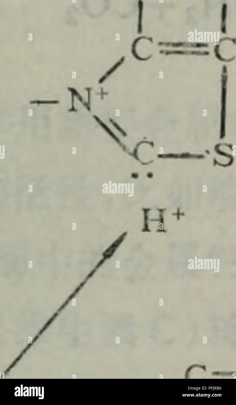 Questa immagine presenta formule chimiche botaniche dettagliate, probabilmente correlate a composti vegetali o processi biochimici. L'immagine presenta strutture molecolari complesse e notazione chimica essenziali nello studio della biochimica vegetale e della botanica. Foto Stock