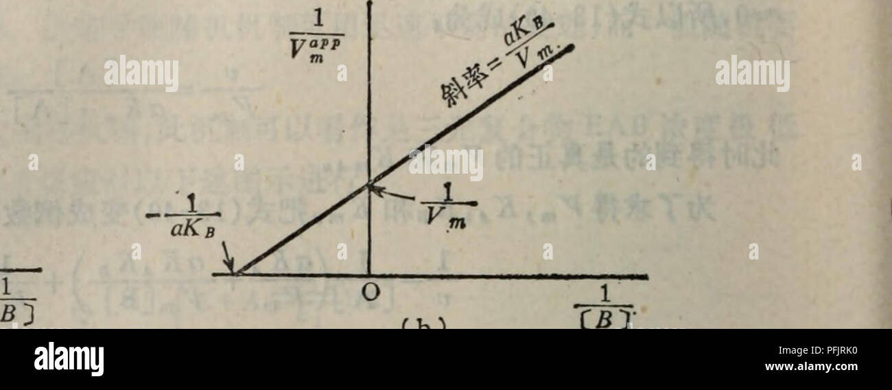 . Dan bai zhi fen zi ji chu. botanica. -356 •. Si prega di notare che queste immagini vengono estratte dalla pagina sottoposta a scansione di immagini che possono essere state migliorate digitalmente per la leggibilità - Colorazione e aspetto di queste illustrazioni potrebbero non perfettamente assomigliano al lavoro originale.. tao wei sun deng. ren min jiao yu chu ban she Foto Stock