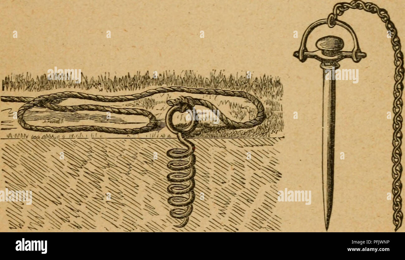 . Il casaro's manuale; una pratica sul trattato della latteria. La produzione di latte. Il caseificio di famiglia. 421 zione di un liberale della fornitura di latte e crema di latte per la fam- ily durante tutta l'estate. Quattro quinti di tale ma- ter è stato entusiasticamente acquistati dai vicini a cinquanta centesimi e verso l'alto per libbra, dando un bellissimo interesse dopo il valore delle mucche. La fattoria, a poche miglia lontano, aveva un mezzo miglio della strada attraverso di essa, che è stata mantenuta in buone condizioni di ordine, senza aiuto da parte superficiale road master e il suo grado di assistenti, nello stesso modo, e fatta eccezione per la strada via è stato arato, concimato e seminati con erba e clo Foto Stock