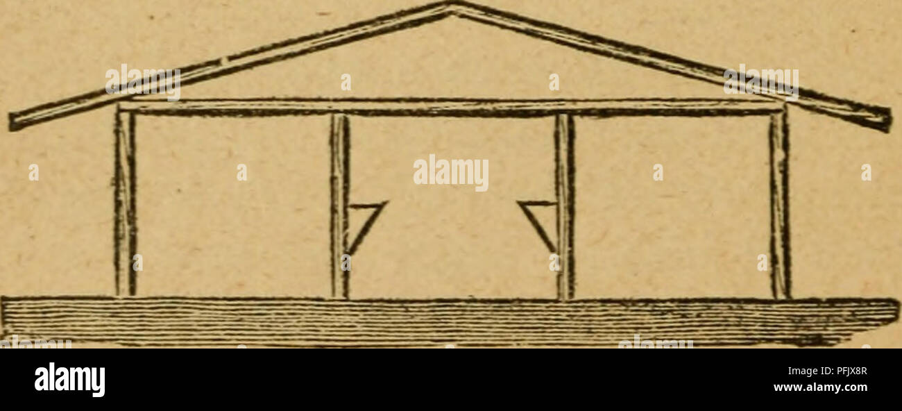 . Il casaro's manuale; una pratica sul trattato della latteria. La produzione di latte. 116 Il casaro S MANUALE. si spegne, cinque da dieci piedi e allentato un box per una mucca^ sette e mezzo in dieci piedi, con un passaggio in wbicli è un vassoio di alimentazione, camera per una fresa di foraggi e mangimi box, e scale per il fieno loft. Sopra la scatola di alimentazione è un fieno shute dal soppalco sopra. Il pollame-casa confina con il passaggio dal quale t&GT;vo porte aperte in esso. Questa casa è diciotto da dodici piedi, e presenta una parte anteriore inclinata di anta vetrata. La P^GU PICS. vacca. ho . cs w -J 2 &lt; CO ^ [°- 1   d: 1 sta Fig. 15.-PIANO DI UNO STABILE CON POULTRT-HO Foto Stock