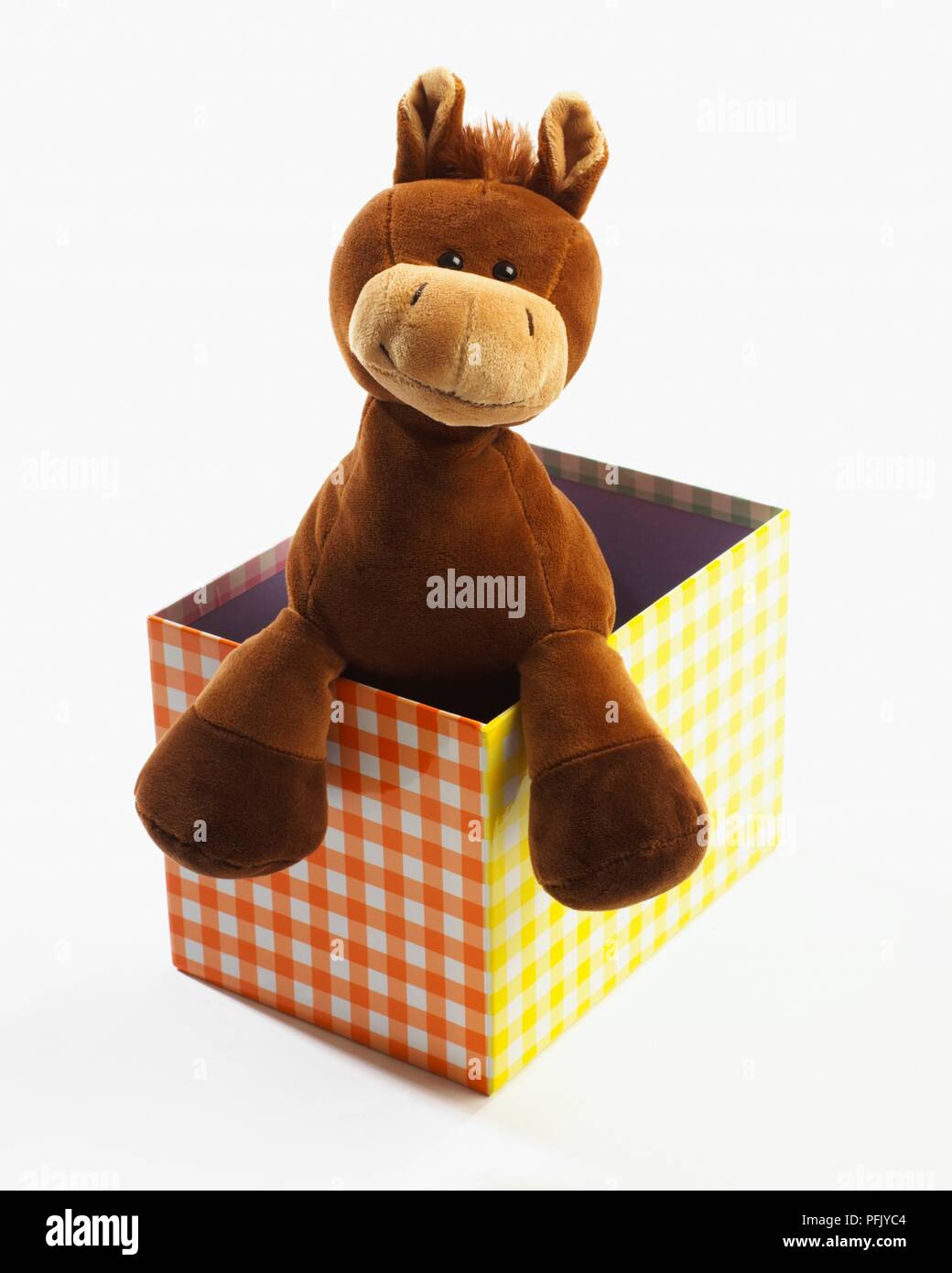 Il giocattolo di peluche cavallo gingham in scatola di cartone Foto Stock