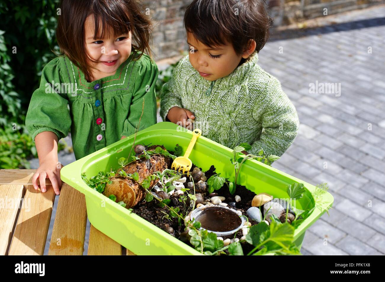 Ragazzo e una ragazza in piedi accanto al giardino in miniatura cresciuto nel vassoio di plastica Foto Stock