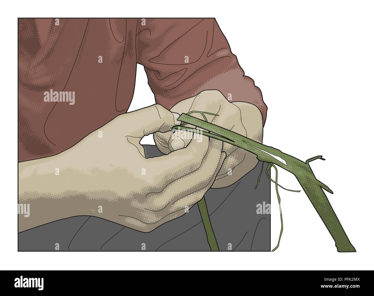 Illustrazione Digitale dell'uomo facendo corda naturale utilizzando le miniature per sbeffeggiare lo strato fibroso lontano dal frantumato stelo di ortica Foto Stock Illustrazione Digitale dell'uomo facendo corda naturale utilizzando le miniature per sbeffeggiare lo strato fibroso lontano dal frantumato stelo di ortica Foto Stock