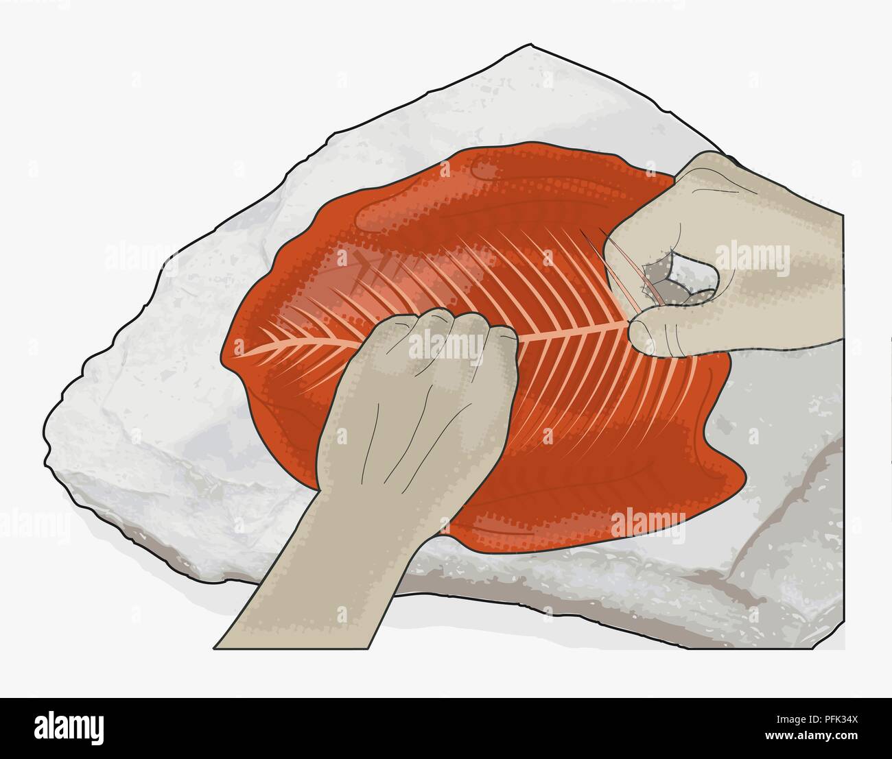 Illustrazione Digitale di usare le mani per pesce osseo su roccia all'aperto Foto Stock