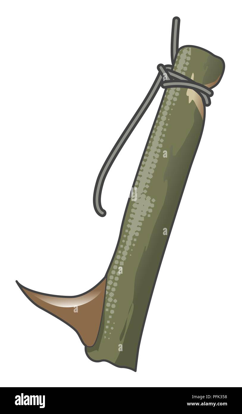 Illustrazione Digitale del pesce improvvisata gancio costituito da sharp thorn sulla fine di rovo stelo Foto Stock
