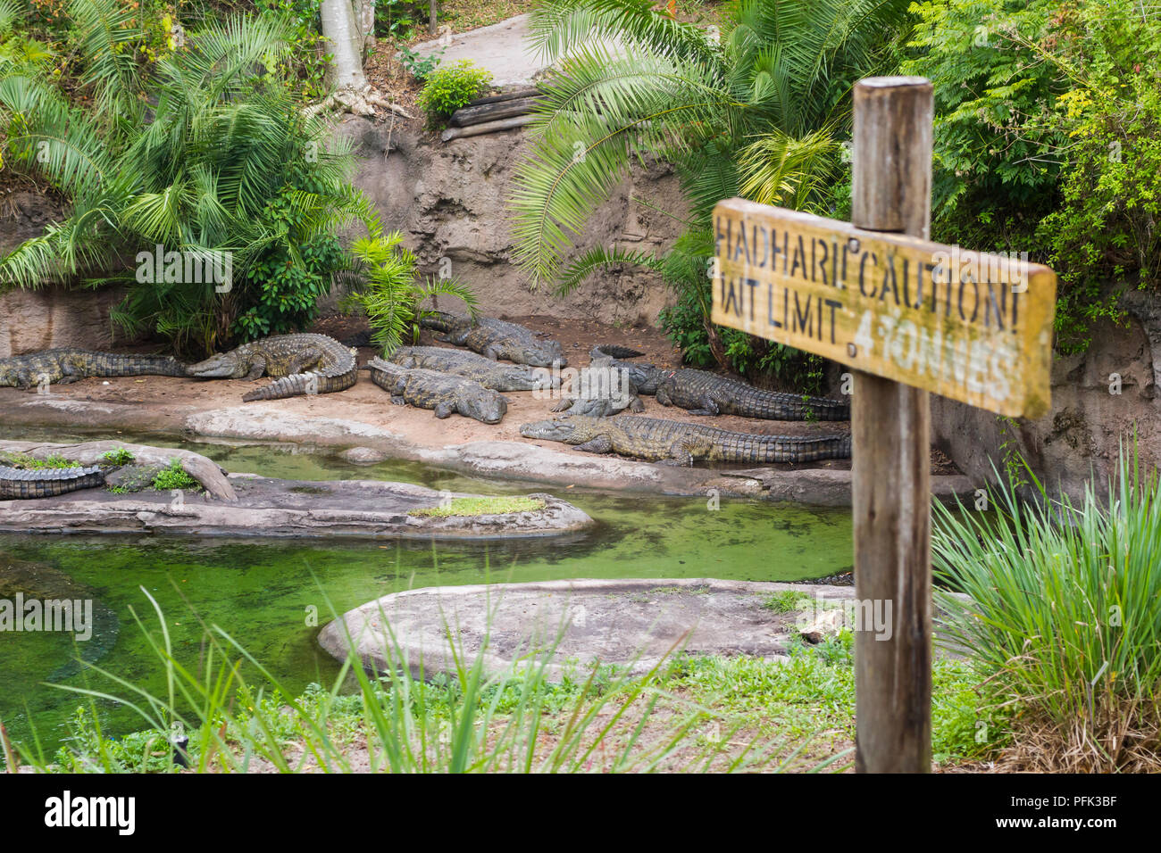 Kilimanjaro Safari ride in Disneys il Parco a Tema del Regno degli Animali di Walt Disney World, a Orlando, Florida. Foto Stock