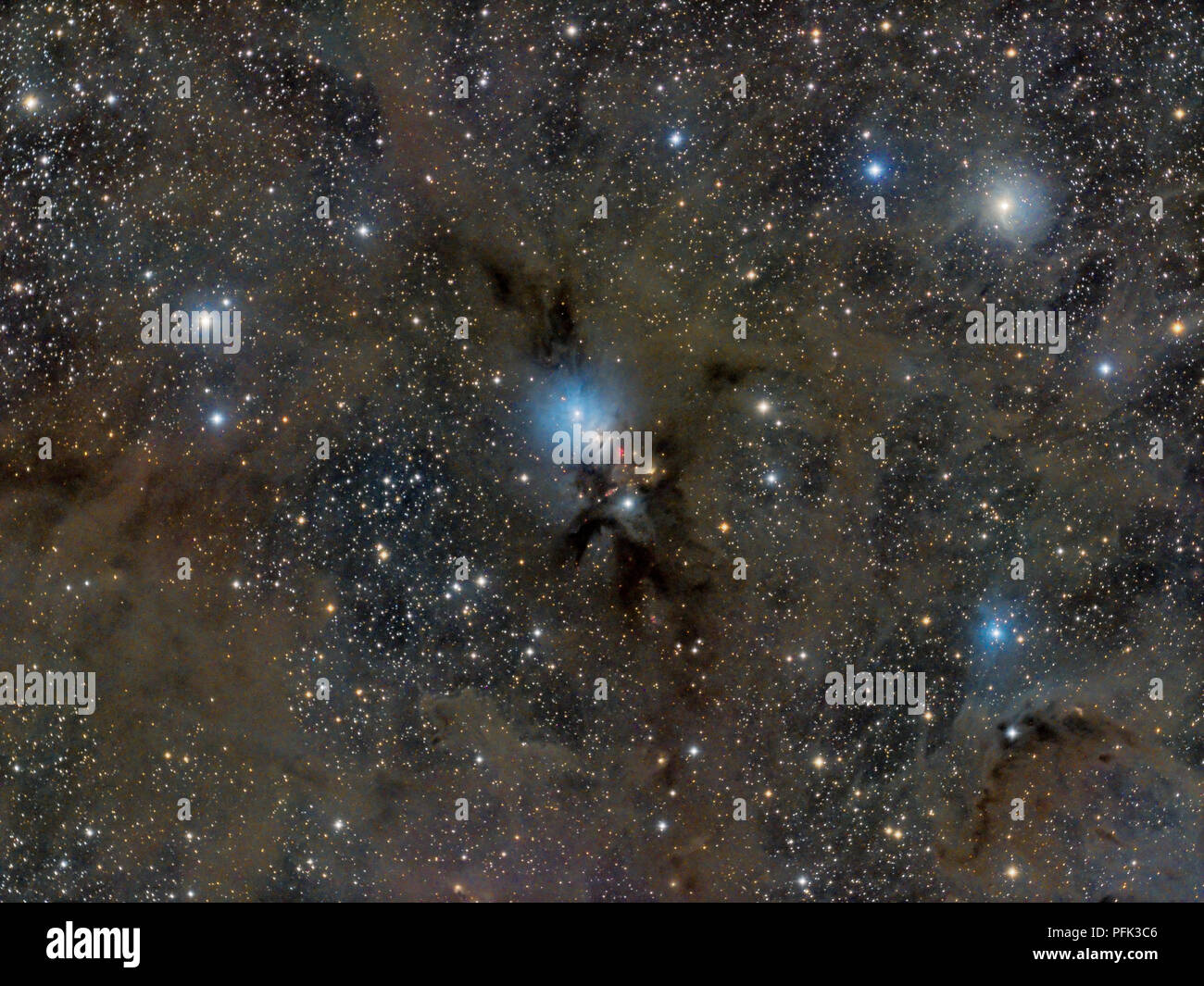 NGC 1333, una nebulosa a riflessione si trova nella costellazione del Perseo. Foto Stock