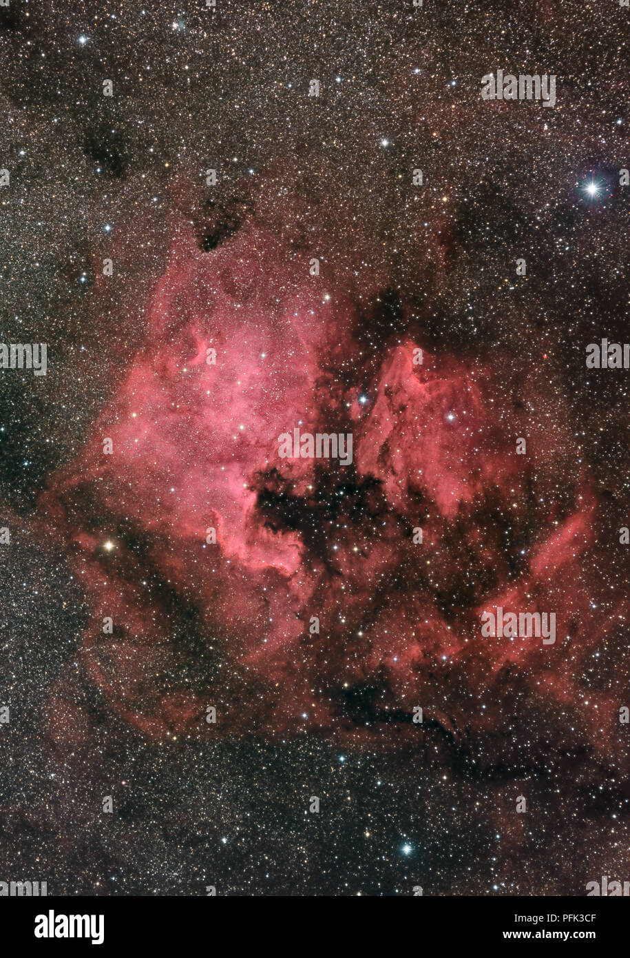 Nord America e Pellicano nebulosa nella costellazione del Cigno Foto Stock