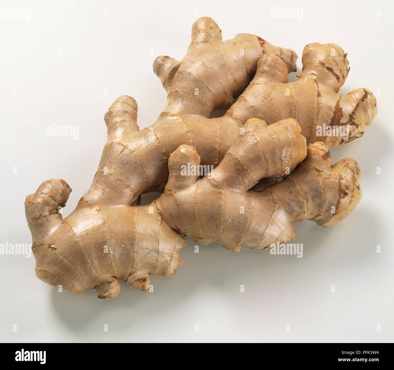 Zingiber officinale, grande grumo di zenzero, vista dall'alto. Foto Stock