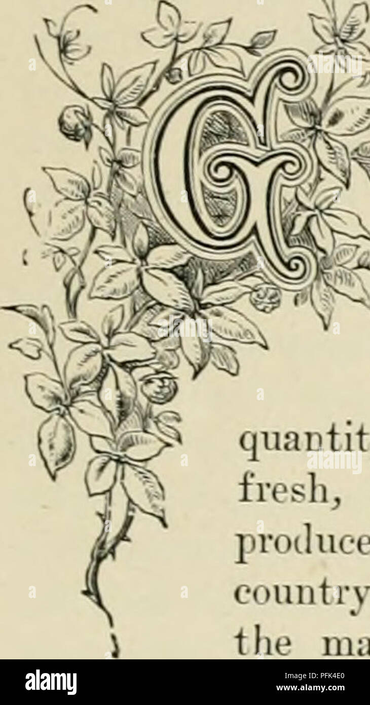 . Allevamento di animali da latte : essendo la teoria, pratica e i metodi di produzione di latte. Aziende lattiere; stabilimenti lattiero-caseari; latte piante. Capitolo XXYir. American Dairy ProdL'CTS. Lordo Trade-Butter ProductionâDomestic JIarkets-Cheese MarketsâBoards ^^(^ ExportsâPrices. di TradeâMilk Sales-New York JIarketâ. ^^^SC  RKAT come ]iro;luce di tlie d;iii-y in America è stata per un numl)er di anni, il jiroduction totale è stata molto esagerata. Senza i dati su cui basare i calcoli per la quantità di latte venduto per uso mentre liesh, e consumati dalle famiglie di produttori e che il numero di vacche in per ogni uno dei th Foto Stock
