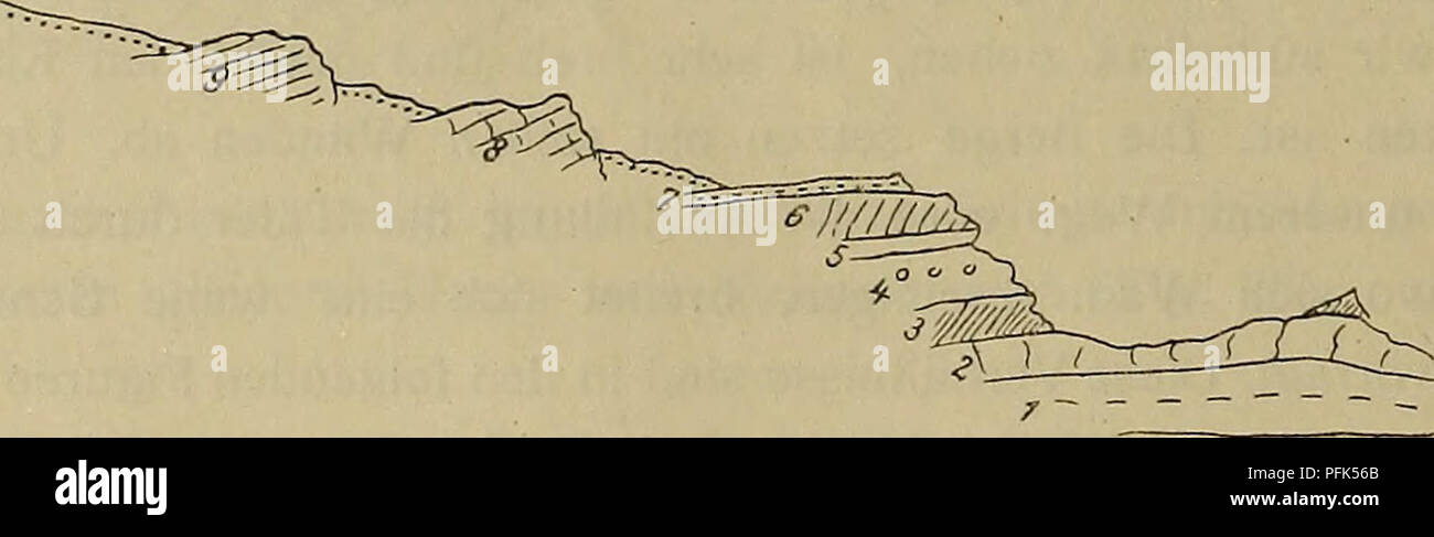 . Denkschriften - Ãsterreichische Akademie der Wissenschaften. "Â ^?Ã-^._,Ã. Arte schwacher Faltenwellen mit Streichen NâS. Die GewÃ aufgebrochenen¶lbe blicken gegen Westen. Es lassen sich 3 Abteilungen unterscheiden: zu Oberst auf dem Gebirge Schotter, darunter koralligene Kalke, unten Sande und Schotter. Fossilien sind in einzelnen Lagen zahlreich. Es sind Steinkerne und Recht schlecht erhalten. Das wenige materiale, das ich sammelte, ist infolge der schlechten Erhaltung fÃ¼r eine Bestimmung nicht geeignet. Die folgenden profilo geben die Zusammensetzung und den Bau dieser Bildungen wieder. Fi Foto Stock