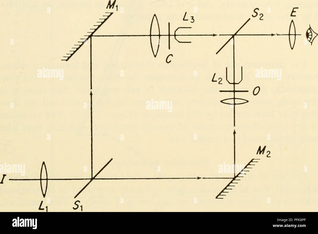 . La citologia. La citologia. cambiamenti introdotti da strutture cellulari sono per la maggior parte molto piccolo e di solito dell'ordine di frazioni di lunghezza d'onda. Per misurare variazioni di fase di questo ordine di grandezza in modo preciso è necessario separare completamente i direttamente luce trasmessa e che deviato dall'oggetto come il microscopio di interferenza. Il modo in cui questo viene realizzato nel microscopio di interferenza è mostrato in Figura 11-16.. La figura 11-16. Rappresentazione schematica di un "ideale" resistenze mi- Sistema croscope: Sj e così, semiriflettenti superfici a specchio; M^ un Foto Stock