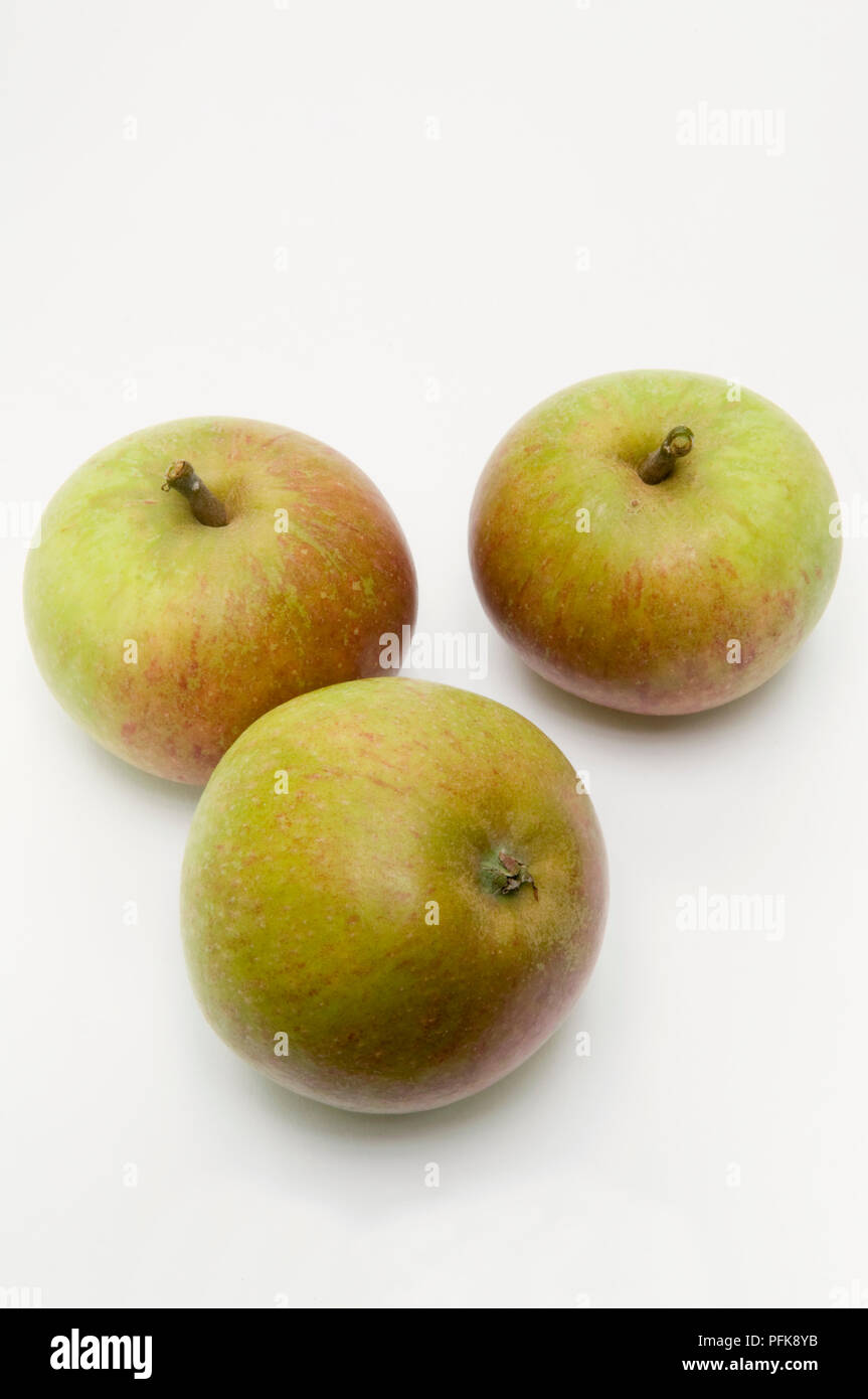 Tre mele " Cox's Orange Pippin', cresciuto in Gran Bretagna Foto Stock