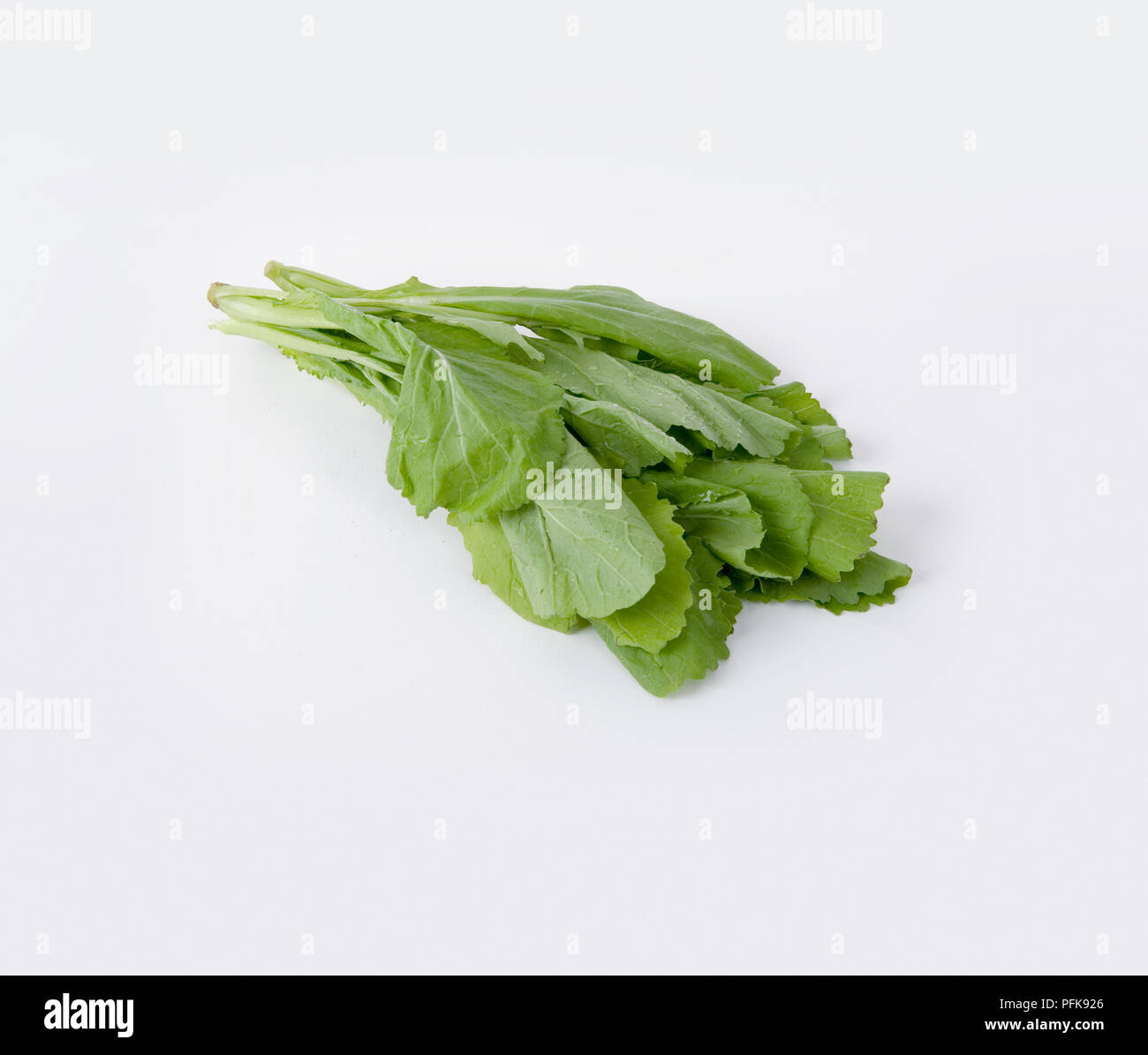Senape cinese lascia "verde nella neve " Foto Stock