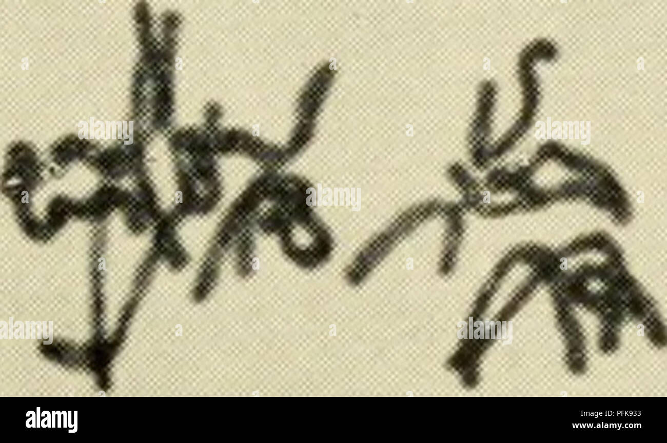 . La citologia. La citologia. La Figura 5-9. Serie di "Split Fig- ures" non trattate in Allium Root celle di punta. La sequenza mostrata può provocare sia la segregazione e nu- merical riduzione del cromo- w* ^'' '' '/^t^ S. somes. (Da Wilson, G. B.. m Hawthorne, M. E. e Tsou, T. M., ^ 1951. "Spontaneo e variazioni indotte nella mitosi," ufficiale B, • Eredità, 42, Fig. 10, pagg. 184-185.) P. Si prega di notare che queste immagini vengono estratte dalla pagina sottoposta a scansione di immagini che possono essere state migliorate digitalmente per la leggibilità - Colorazione e aspetto di queste illustrazioni potrebbero non perfettamente resembl Foto Stock