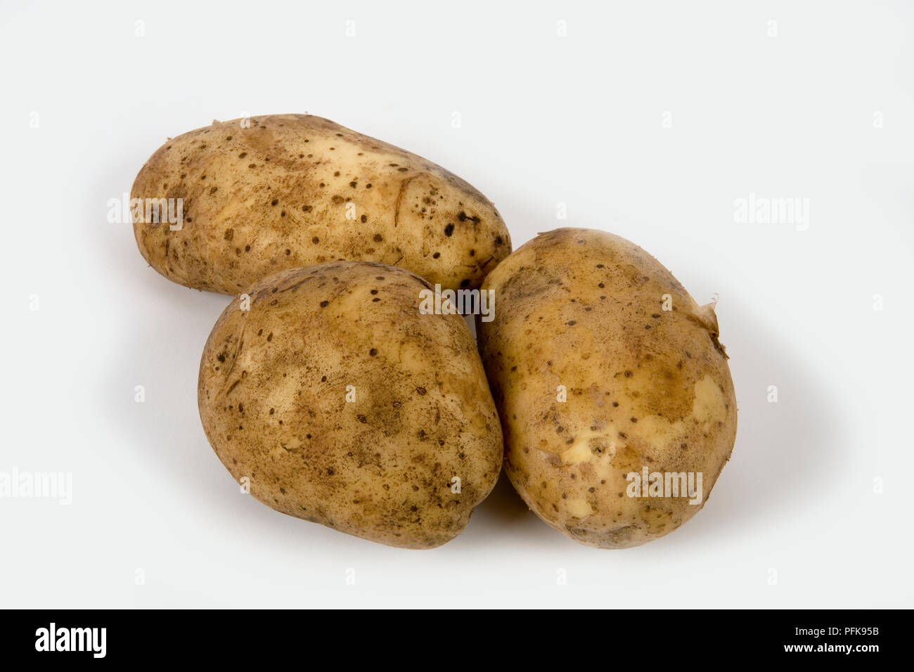 Tre patate 'Lady Balfour', cresciuto in Gran Bretagna Foto Stock