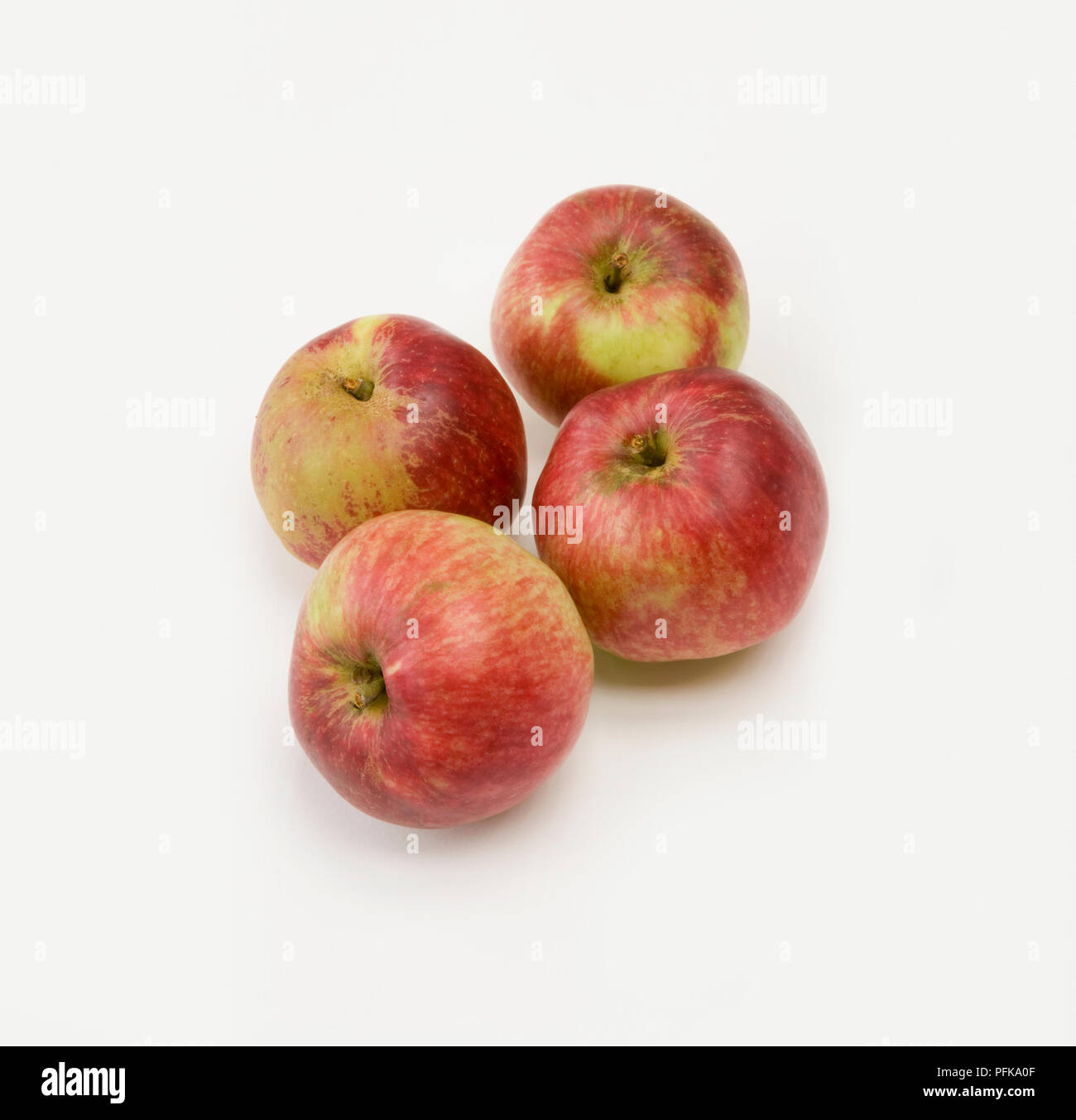 Mele "Worcester Pearmain", quattro mele coltivate in Gran Bretagna, close-up Foto Stock