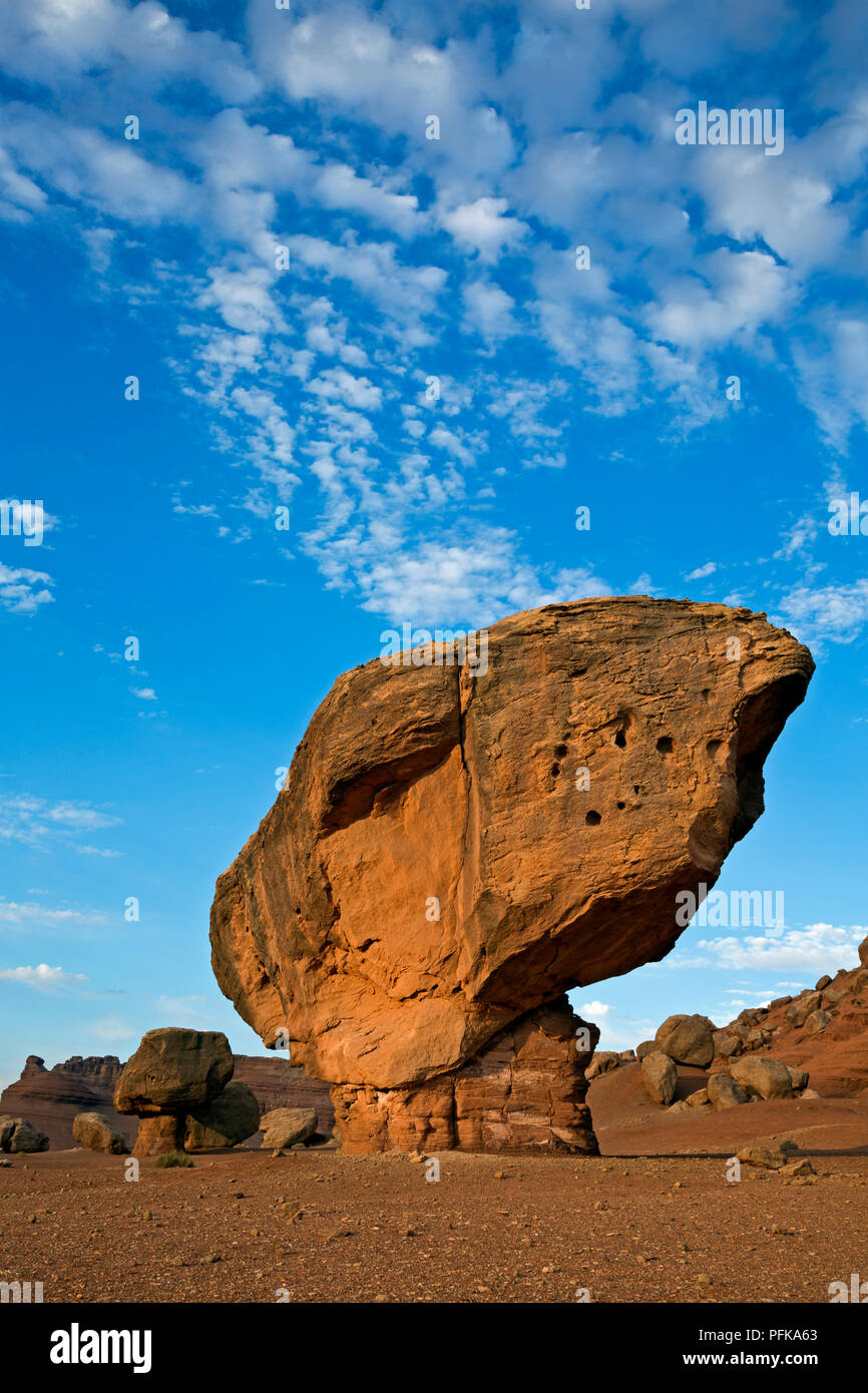 AZ00341-00...ARIZONA - Equilibrata Rock si trova lungo la strada a Lee's Ferry in Glen Canyon National Recreation Area. Foto Stock