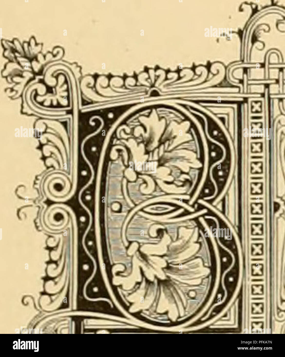 Questo lavoro di riferimento di floricoltura discute *Ranunculus bulbosus*, una specie comunemente trovata nei pascoli. Il testo mette in evidenza i suoi fiori gialli dorati, le radici bulbose e gli usi ornamentali, comprese le varietà coltivate in vari colori come i tipi persiani e asiatici. Foto Stock